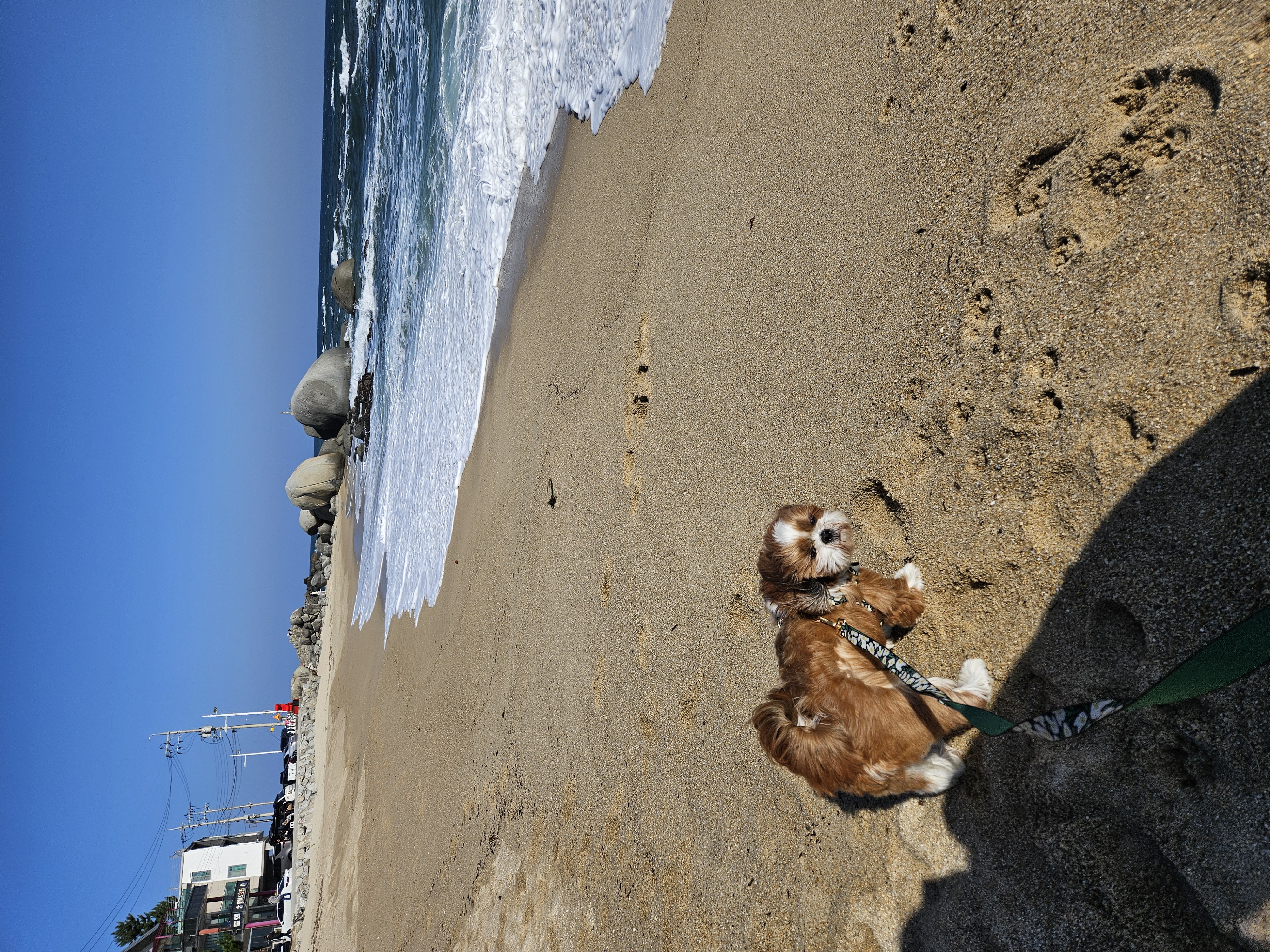 동동이(용자) 잘 지내고 있어요