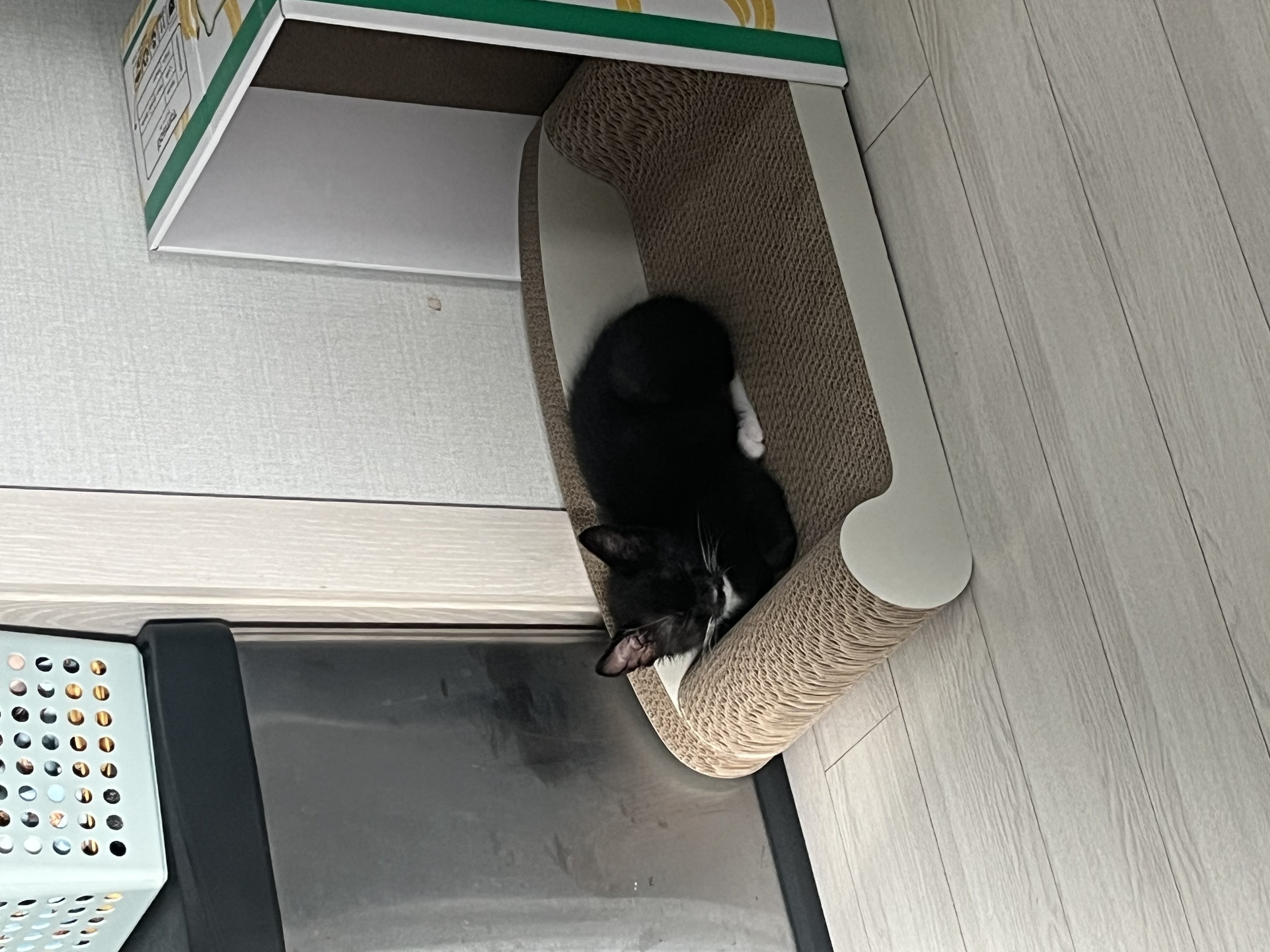 까미의 1개월차 후기