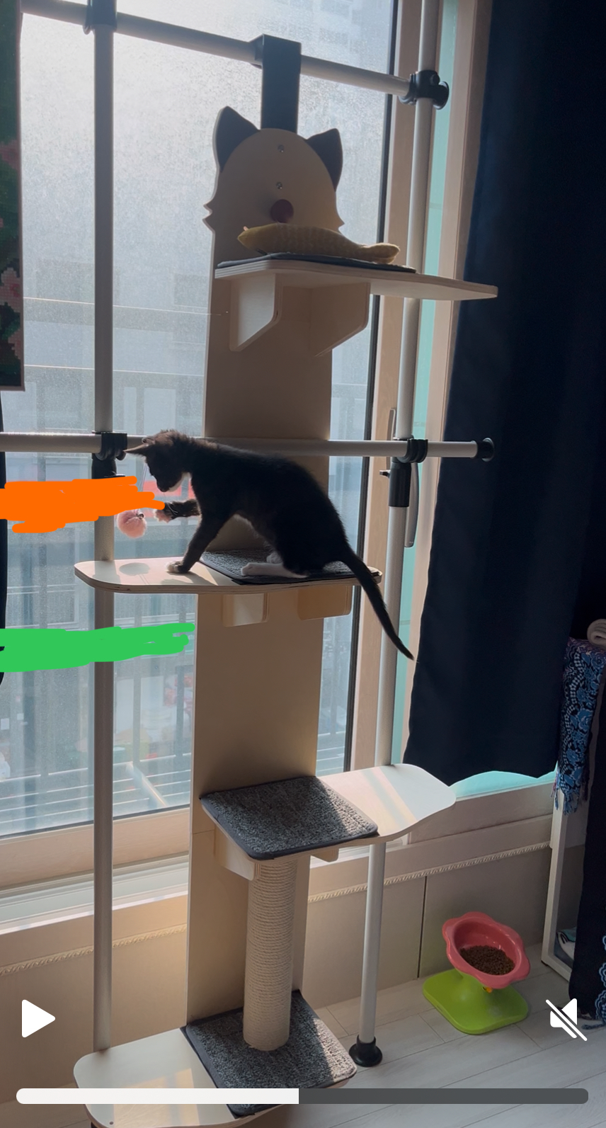 까미의 1개월차 후기