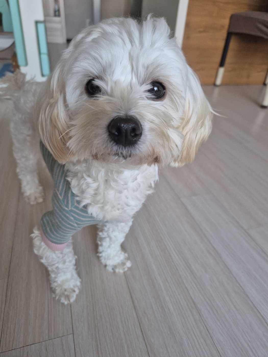 가족된지24일된전(즈하)현(바람)입니다~ 