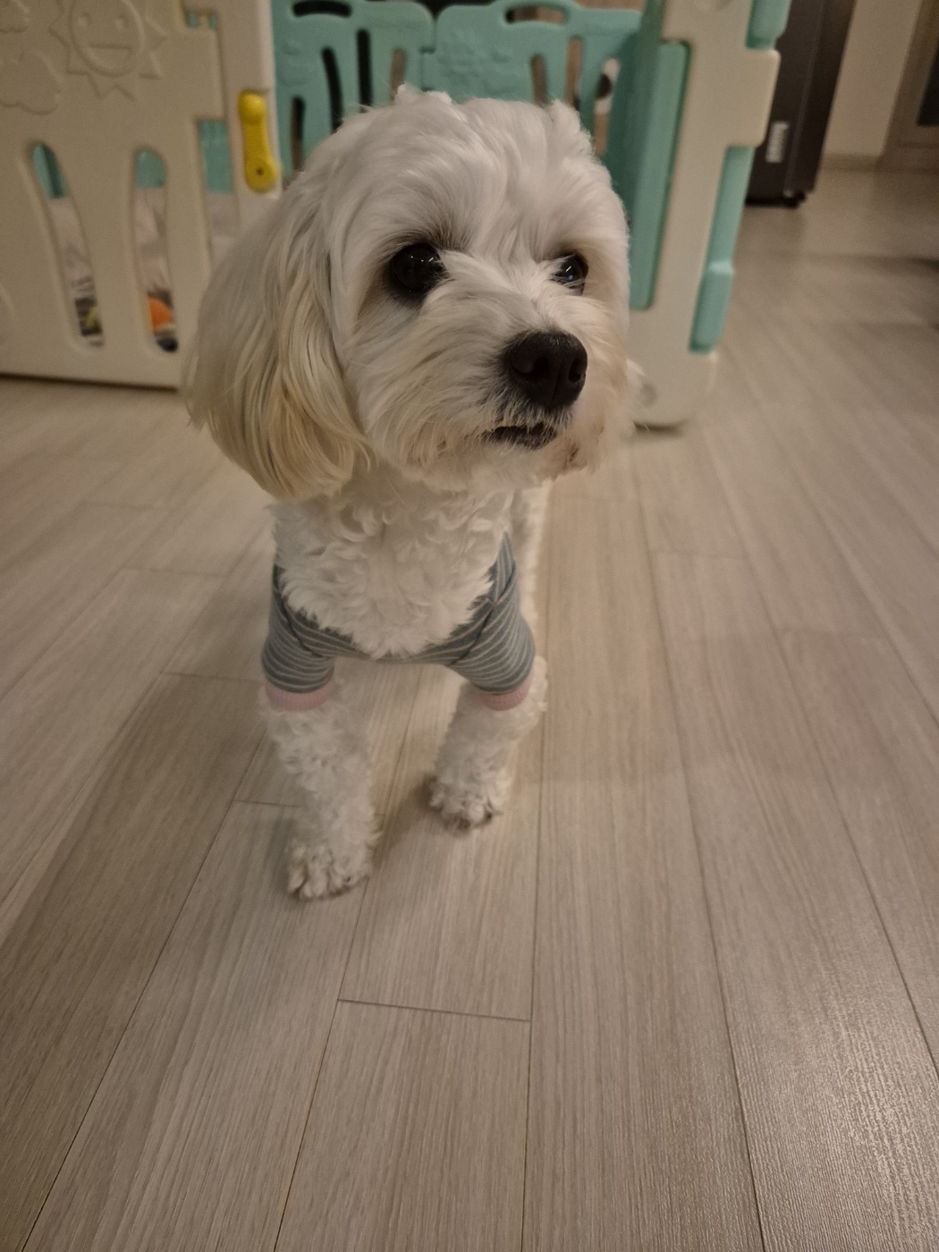 가족된지24일된전(즈하)현(바람)입니다~ 