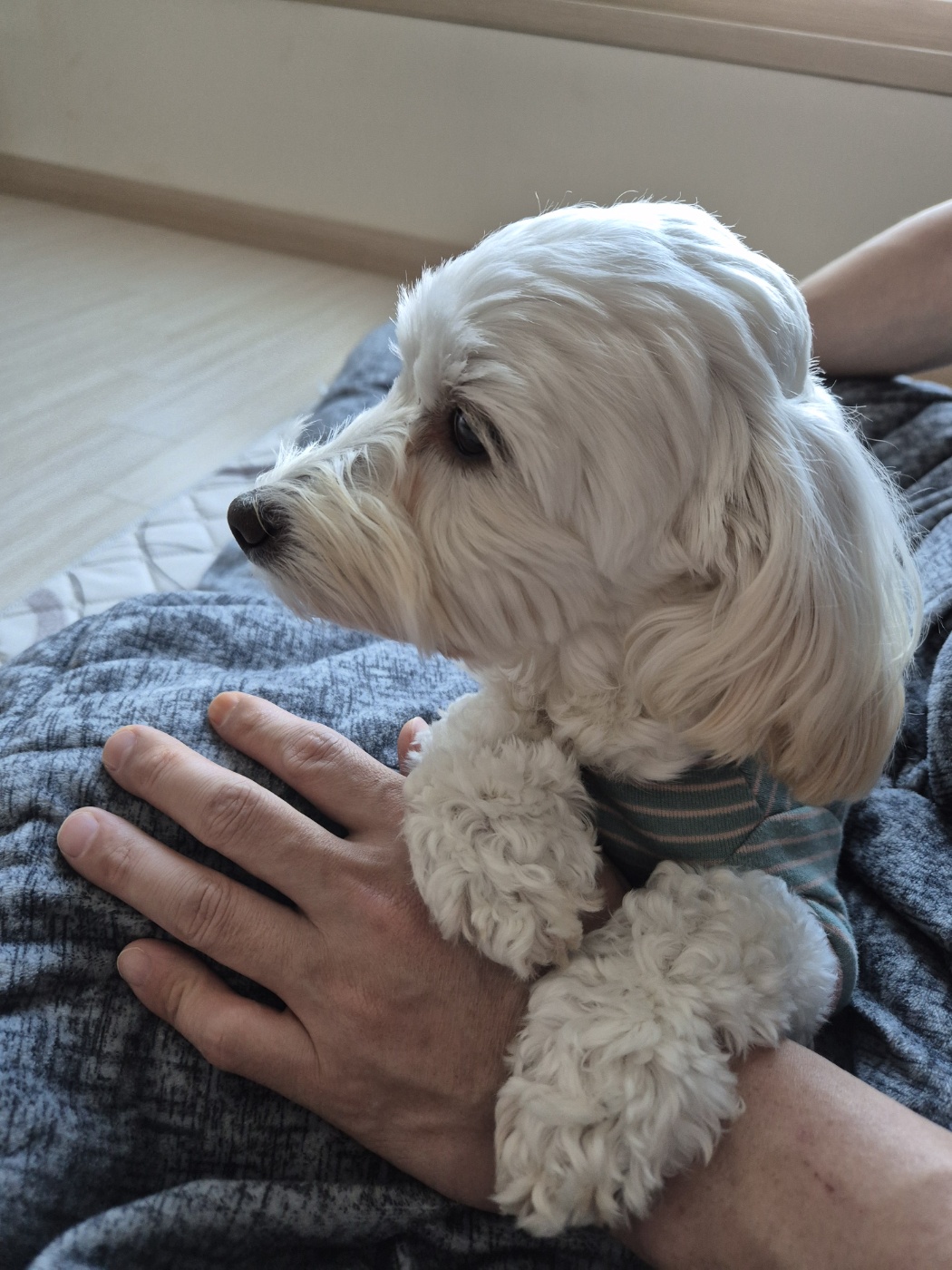 가족된지24일된전(즈하)현(바람)입니다~ 