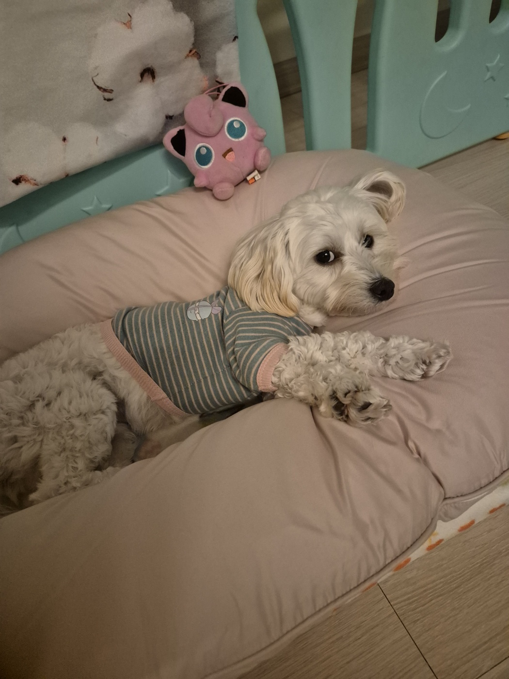 가족된지24일된전(즈하)현(바람)입니다~ 