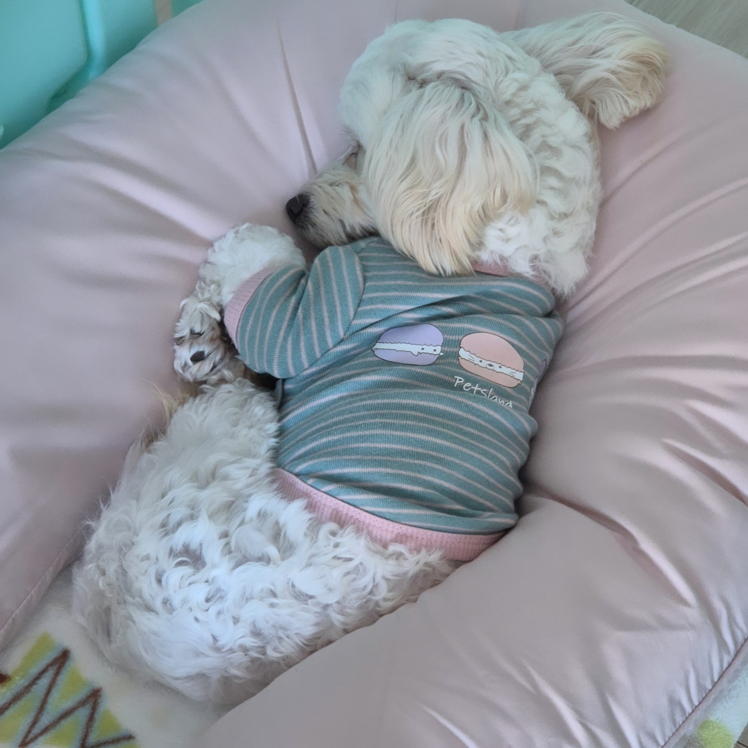 가족된지24일된전(즈하)현(바람)입니다~ 