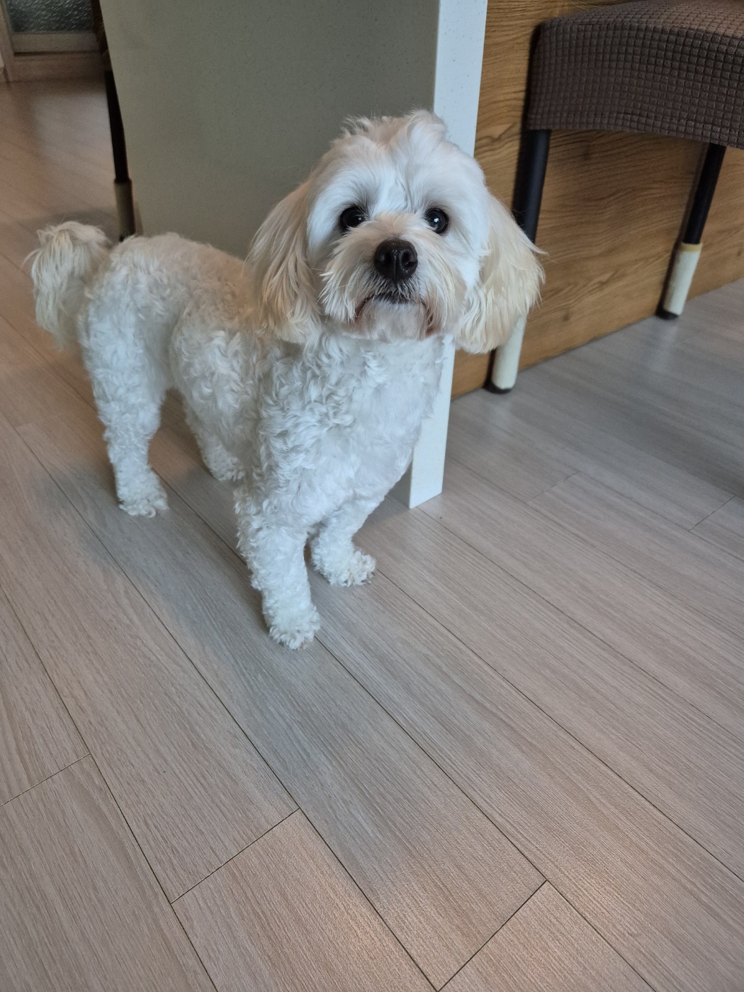 가족된지24일된전(즈하)현(바람)입니다~ 