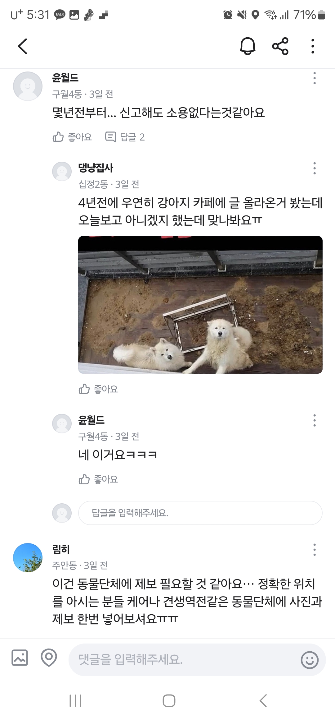인천 남동구 간석동 오피스텔 발코니 방치견을 구조해주세요