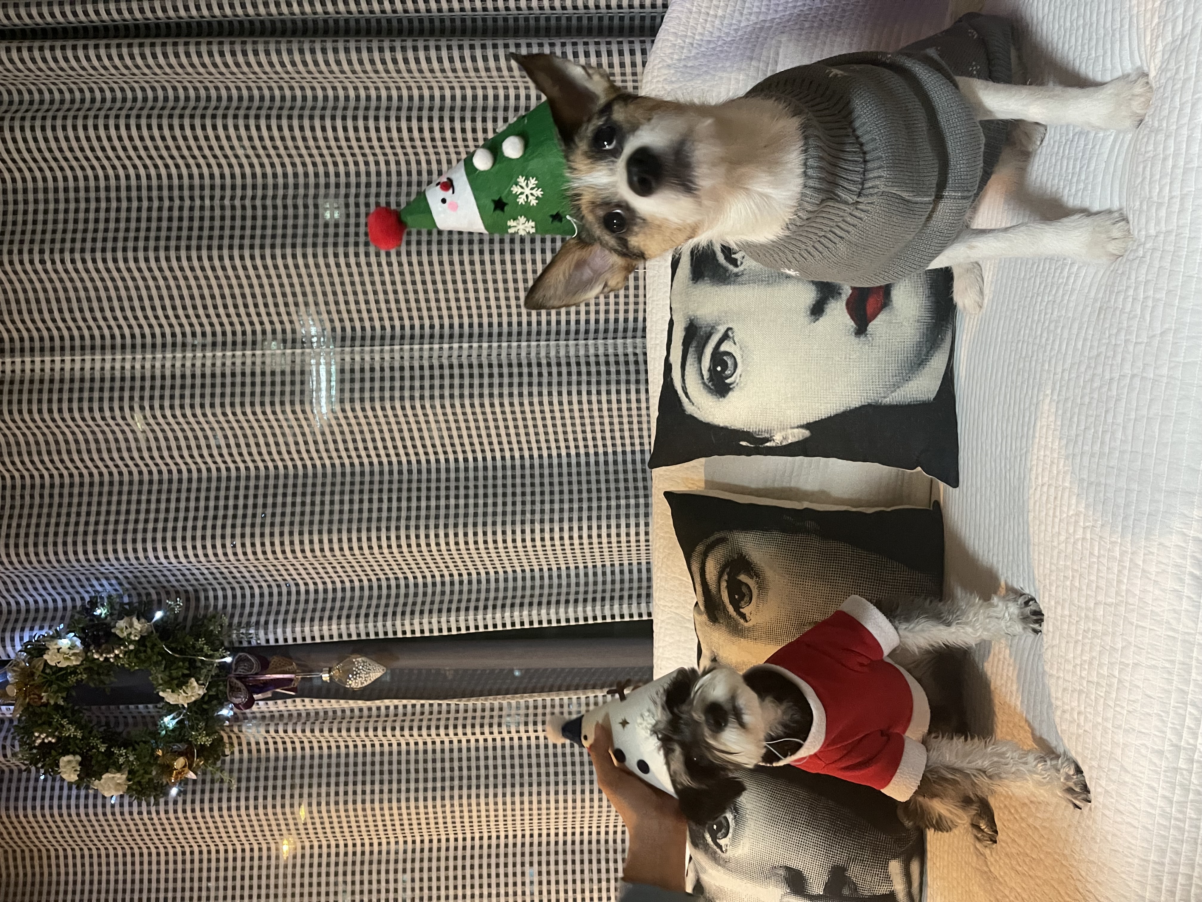 마빈 빈스이야기 