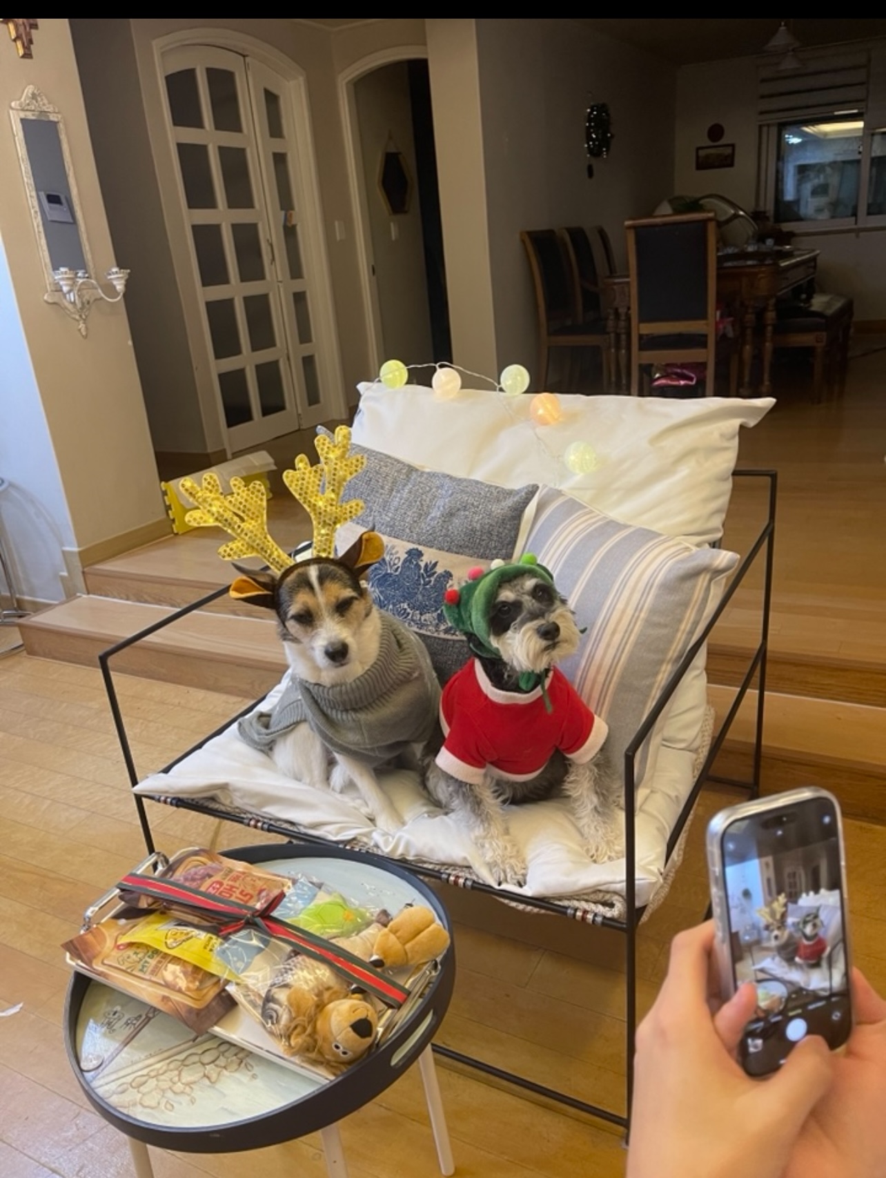 마빈 빈스이야기 