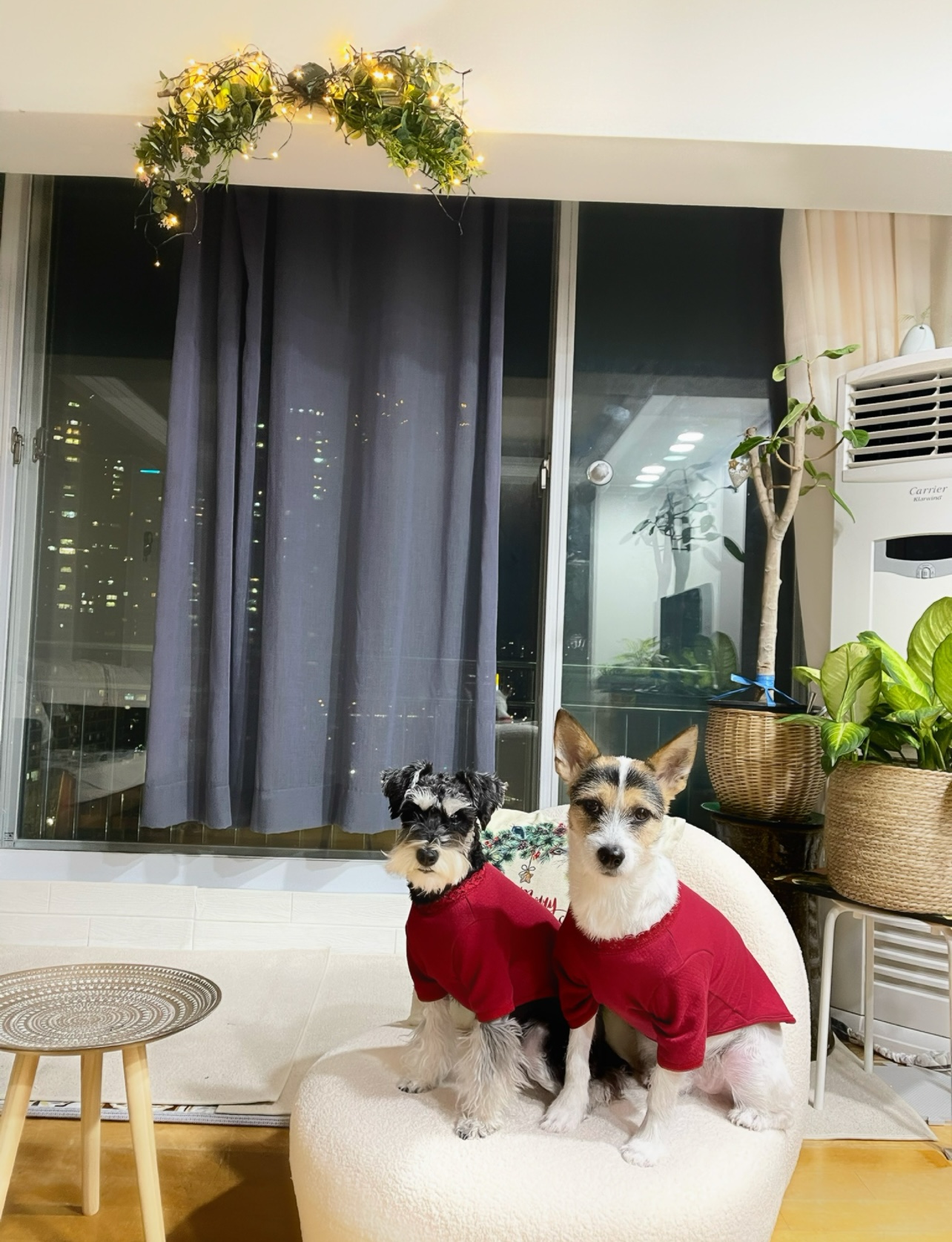 마빈 빈스이야기 