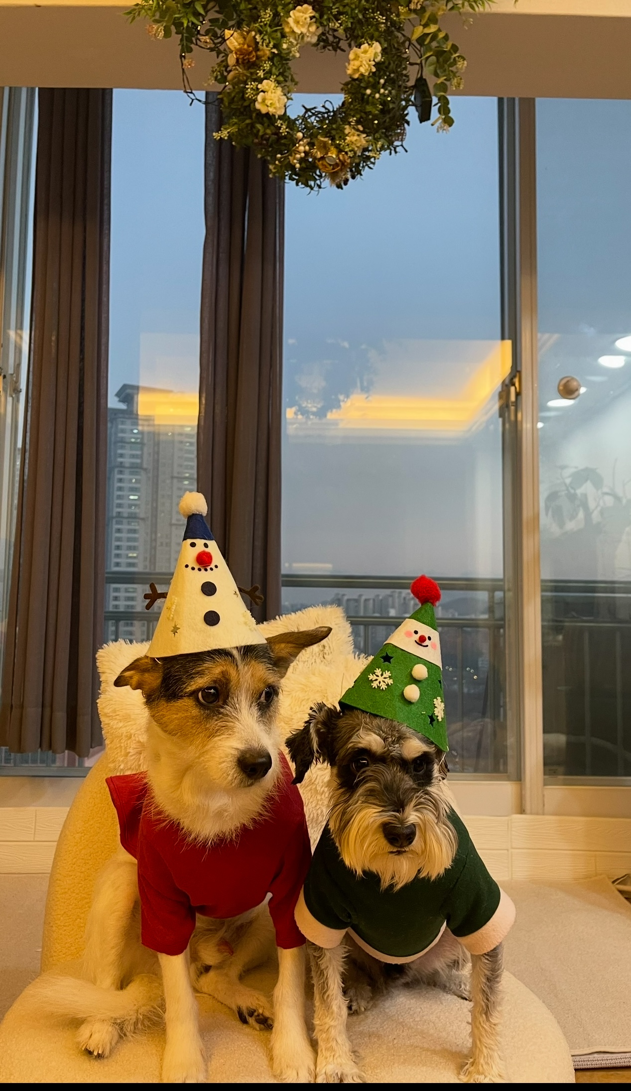 마빈 빈스이야기 