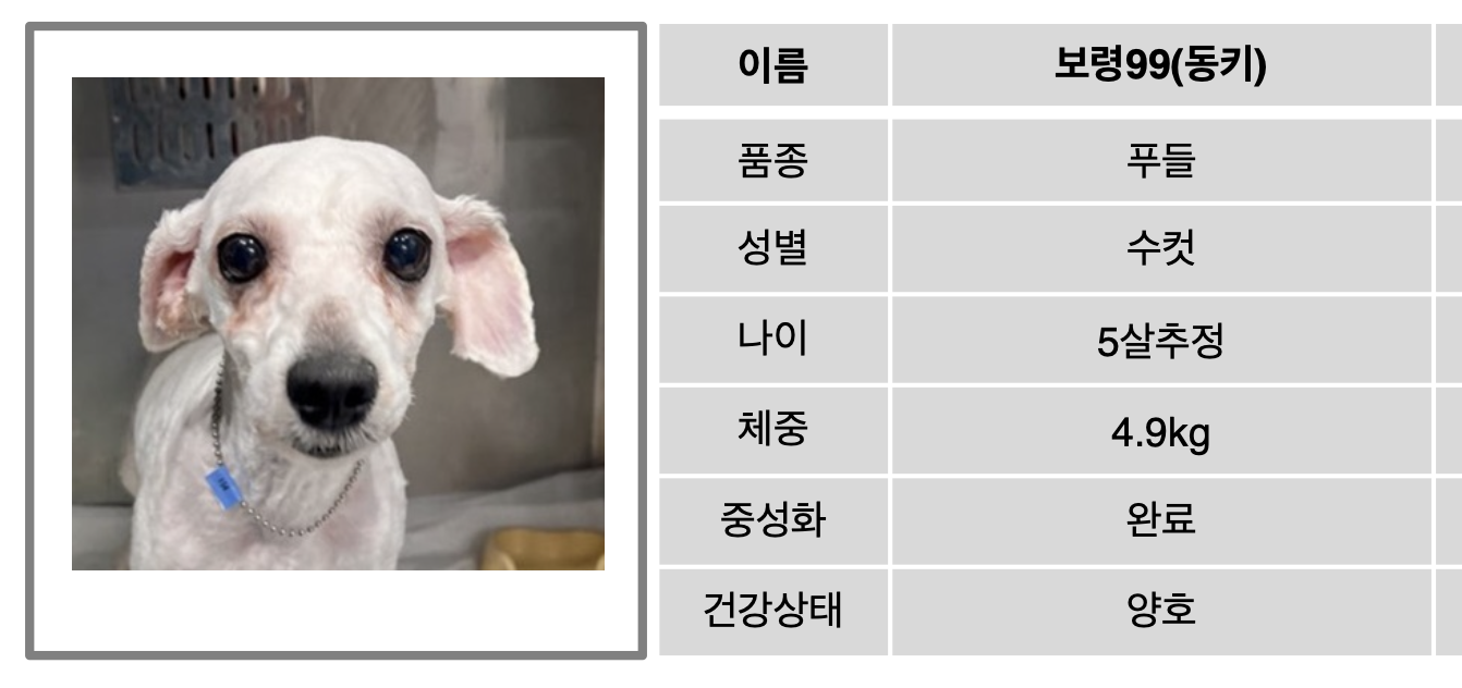 [임시보호] 보령-99, 동키와의 임시보호를 종료합니다. 하남이 임종까지보호 시작합니다.