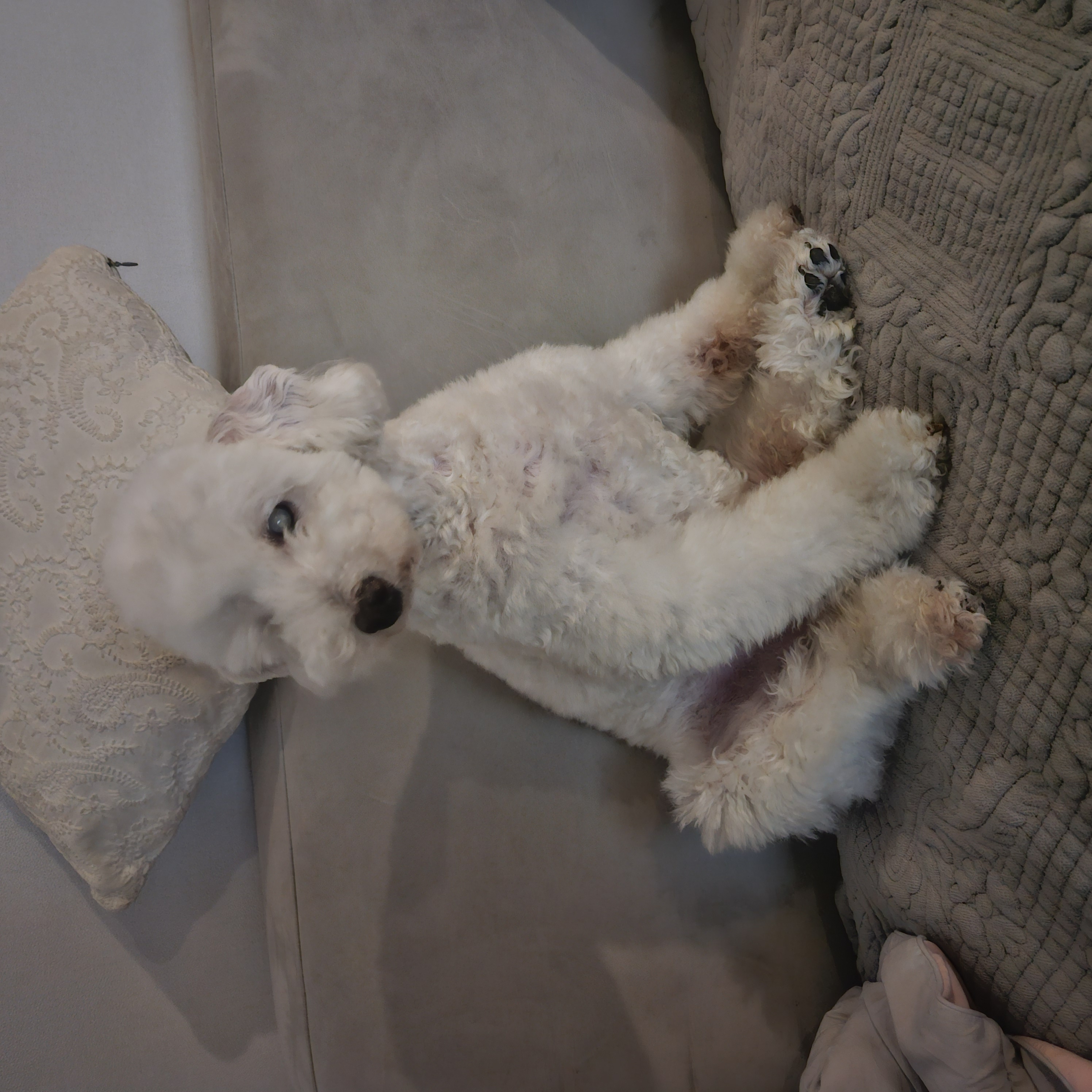 보령 빛돌이일상(예쁨주의)