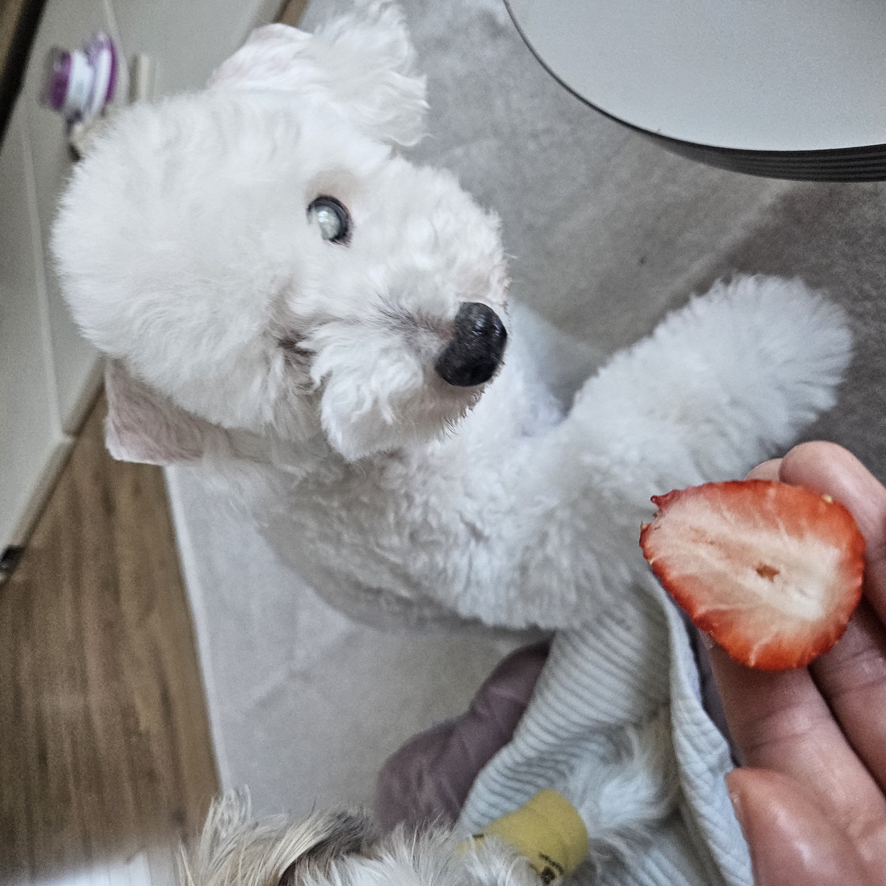 보령 빛돌이일상(예쁨주의)