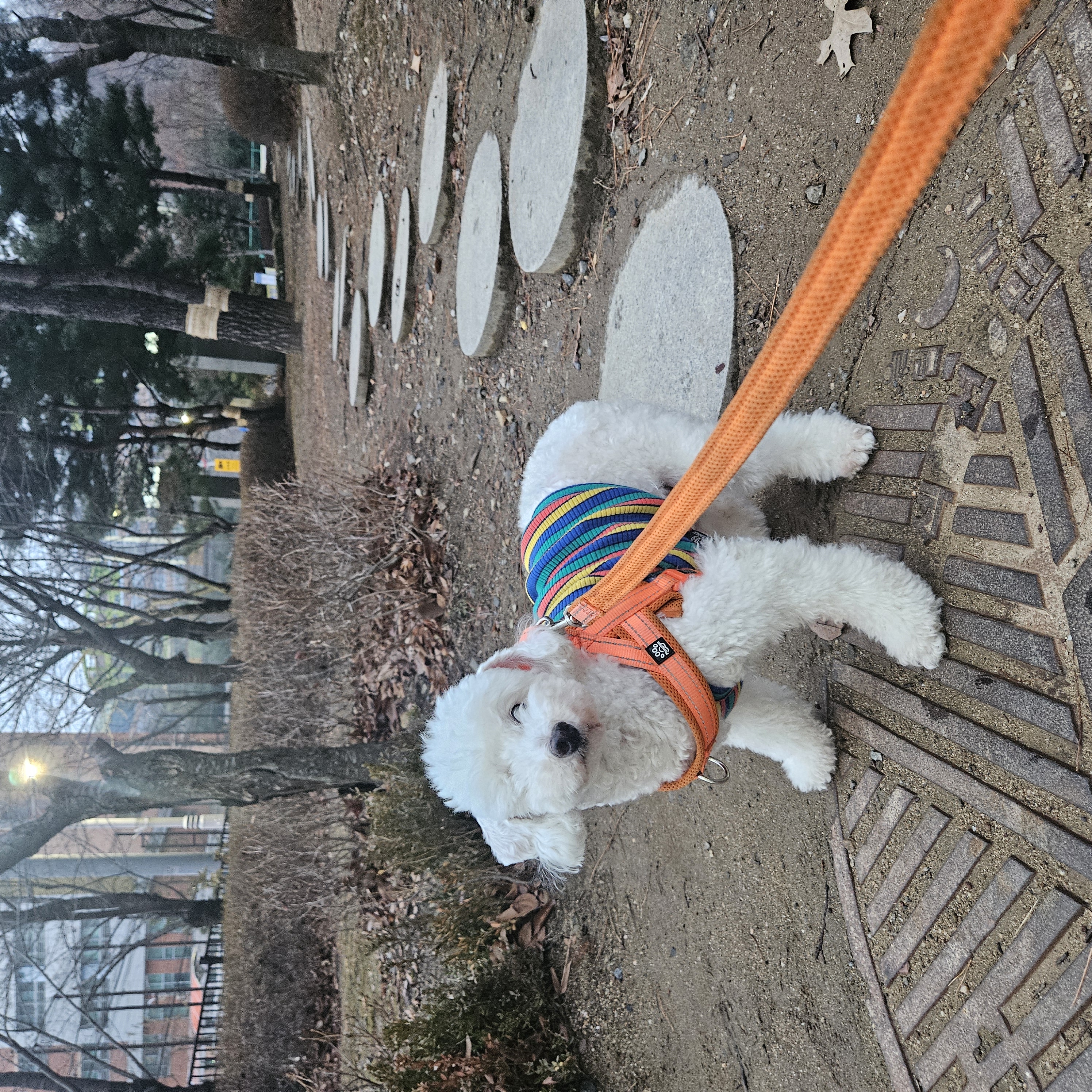 보령 빛돌이일상(예쁨주의)