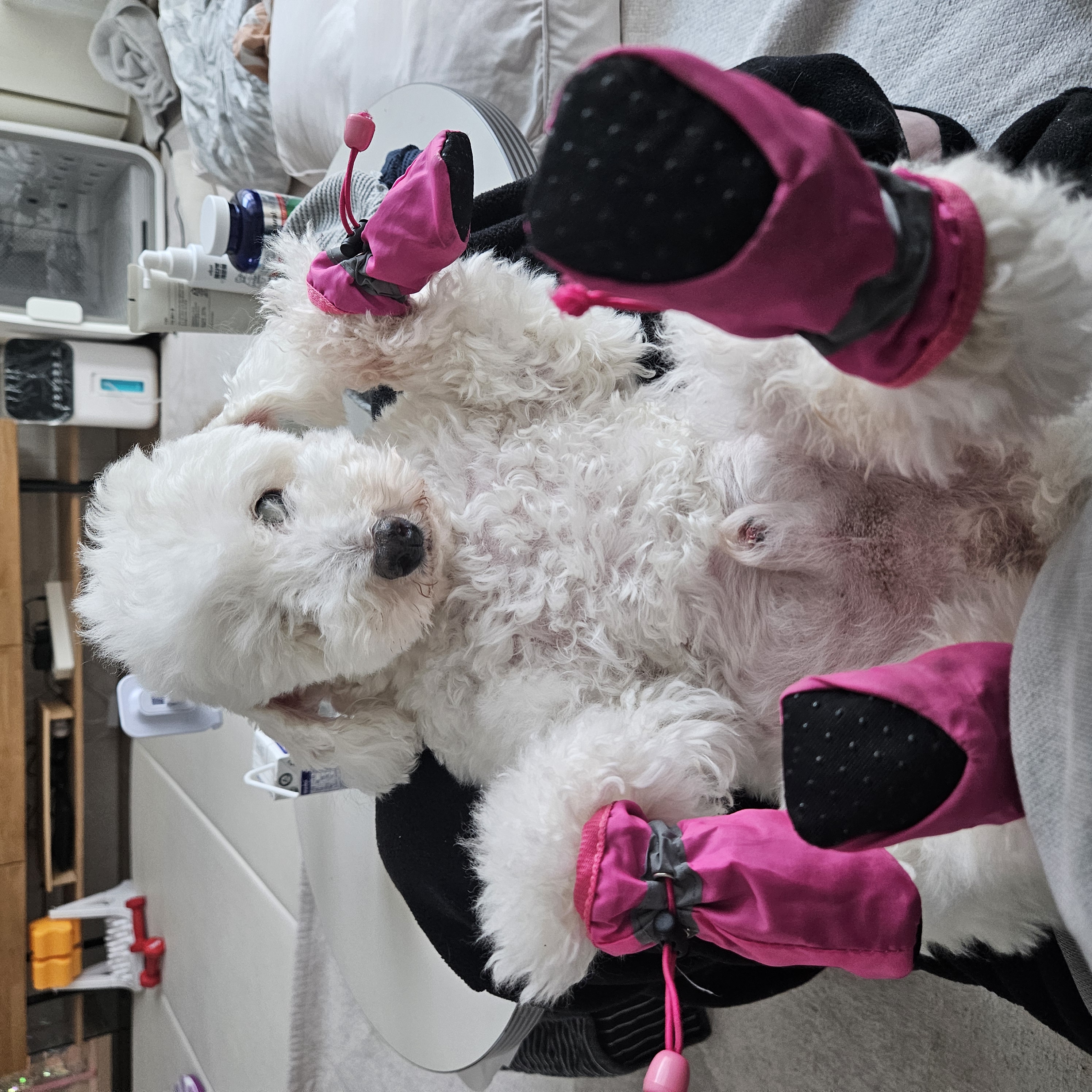 보령 빛돌이일상(예쁨주의)