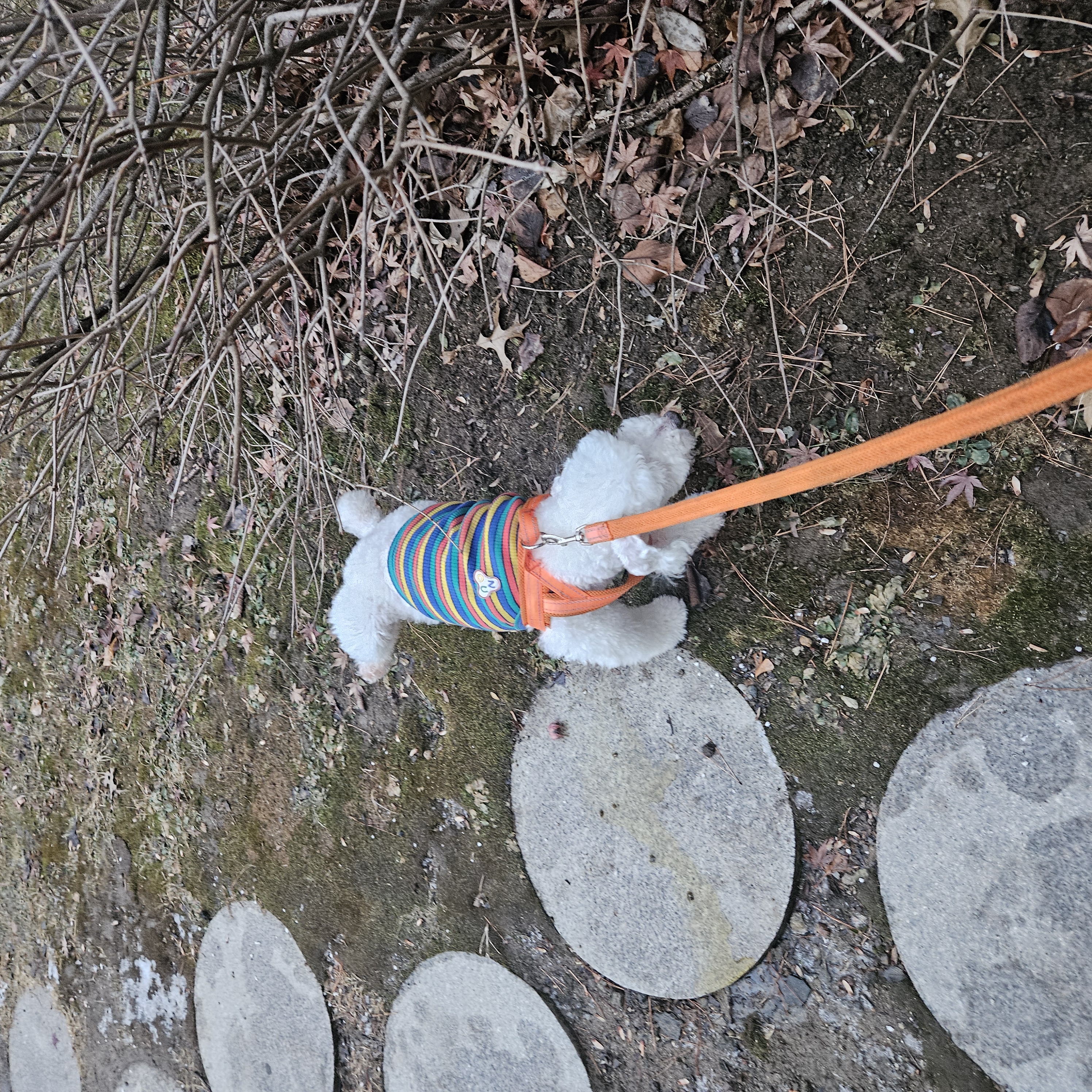 보령 빛돌이일상(예쁨주의)