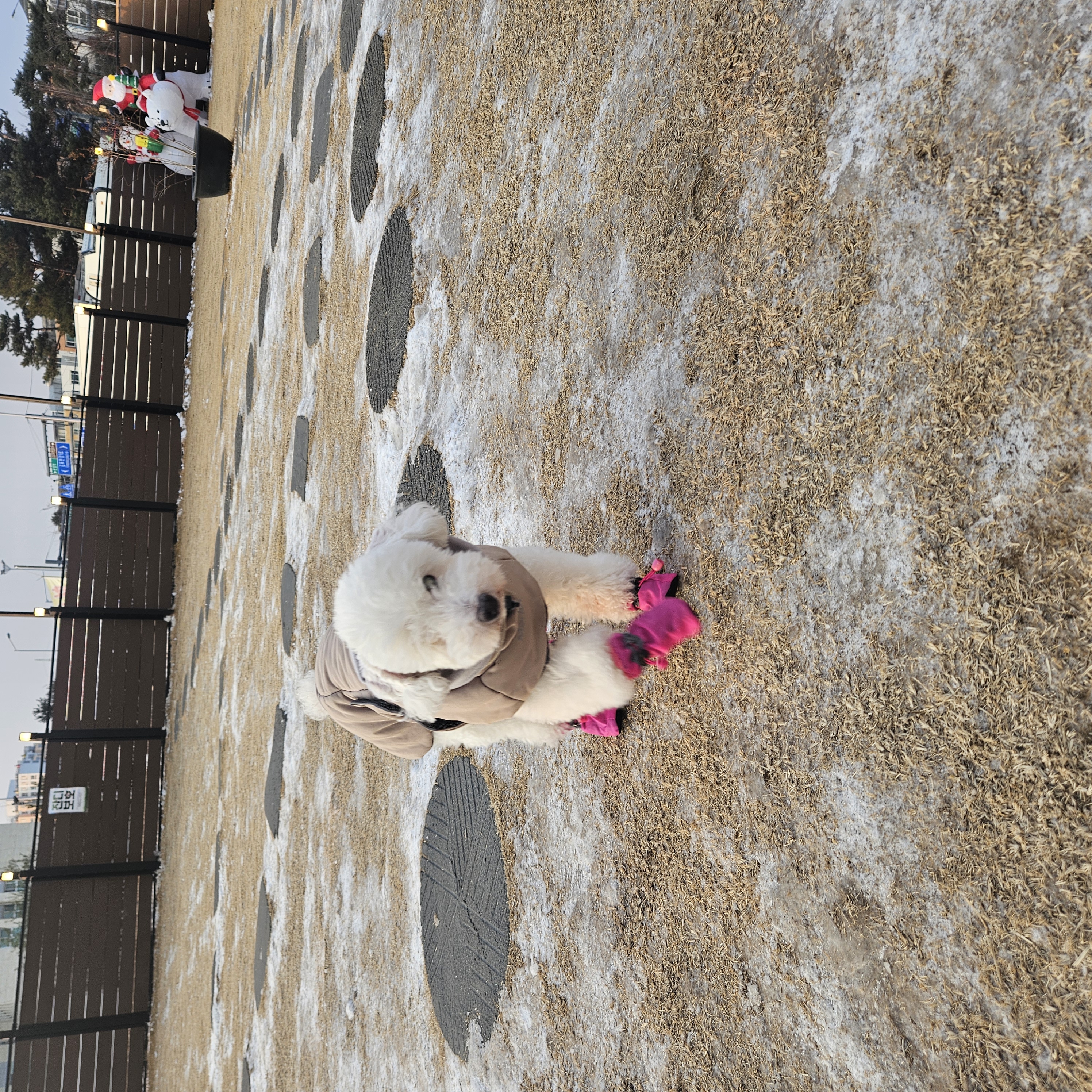 보령 빛돌이일상(예쁨주의)