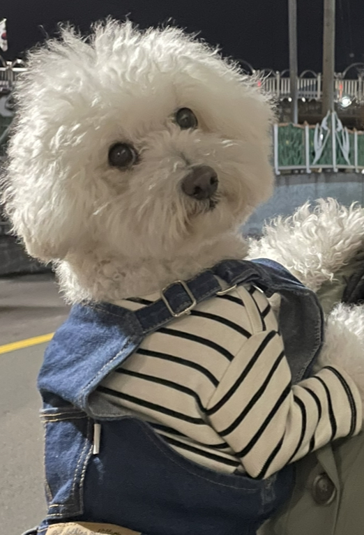 말랑이 잘 지내고 있어요!