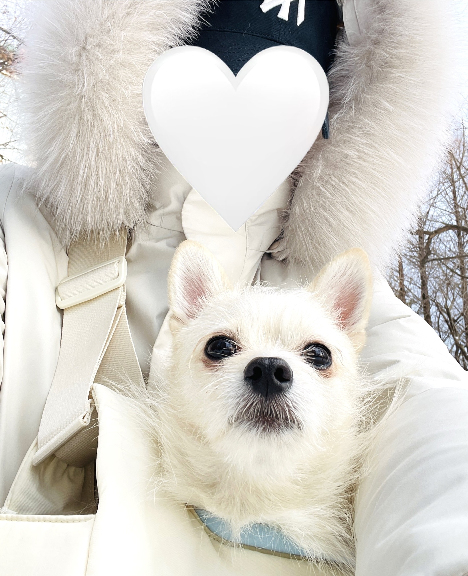 동치미(구 포요)잘 지내고 있어요~