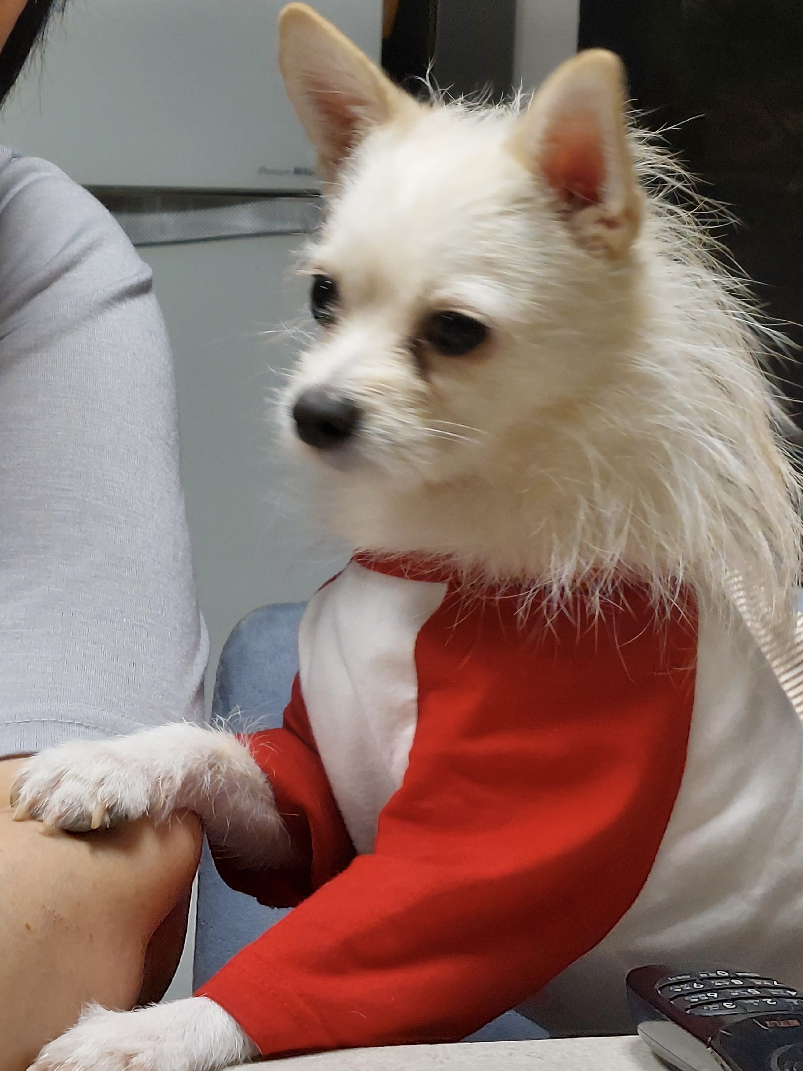 동치미(구 포요)잘 지내고 있어요~