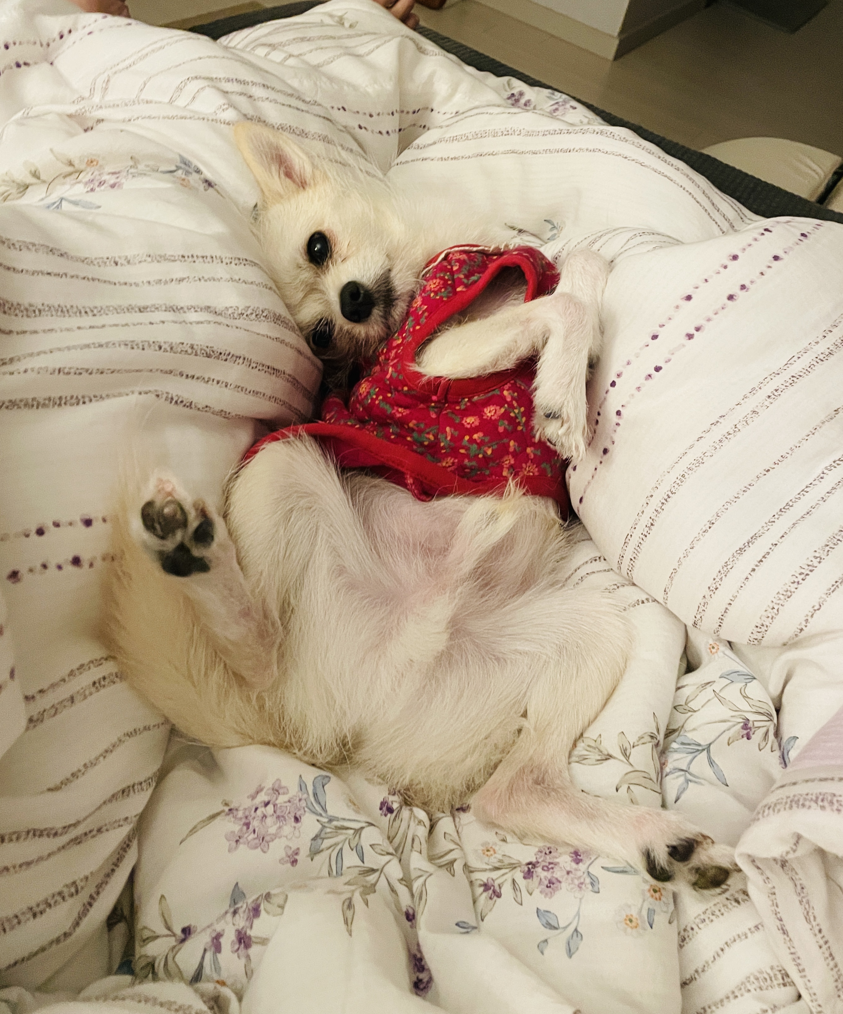 동치미(구 포요)잘 지내고 있어요~