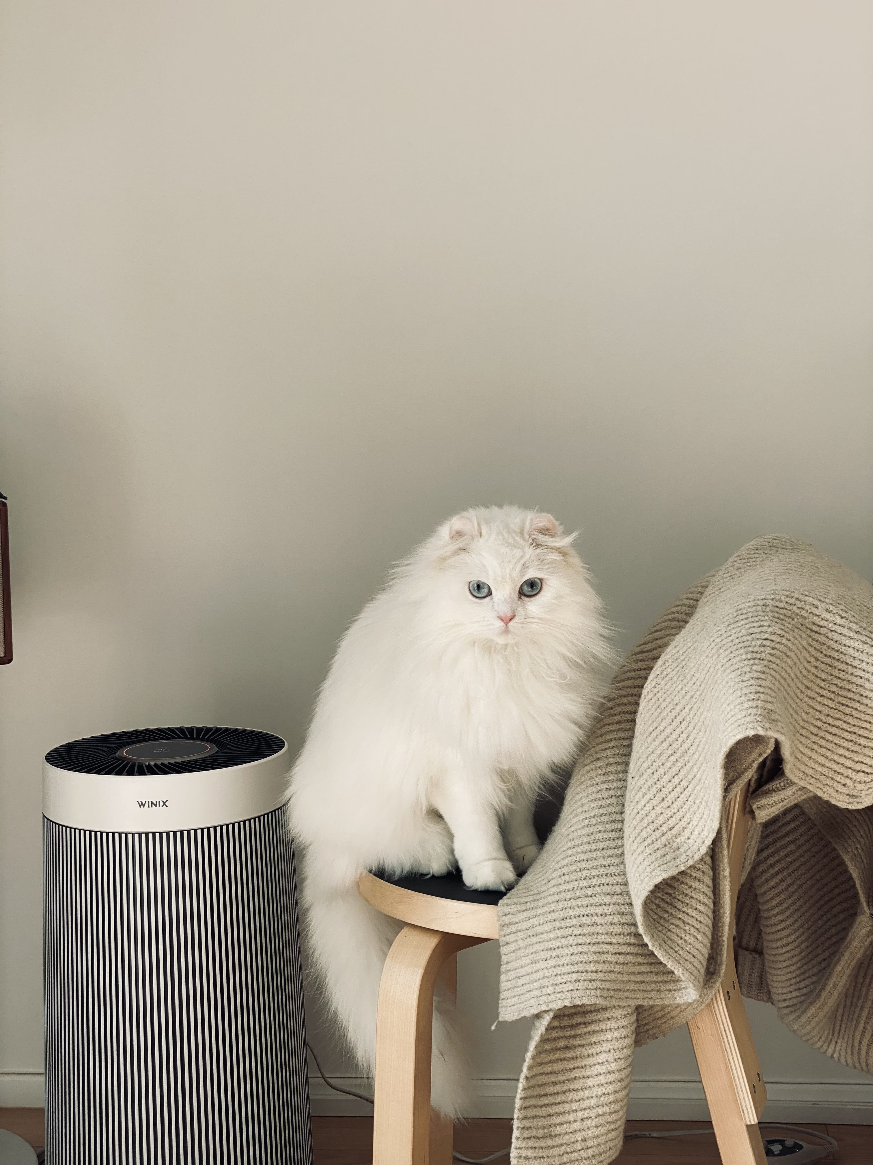 설이(앙이)와의 즐거운 한 달!