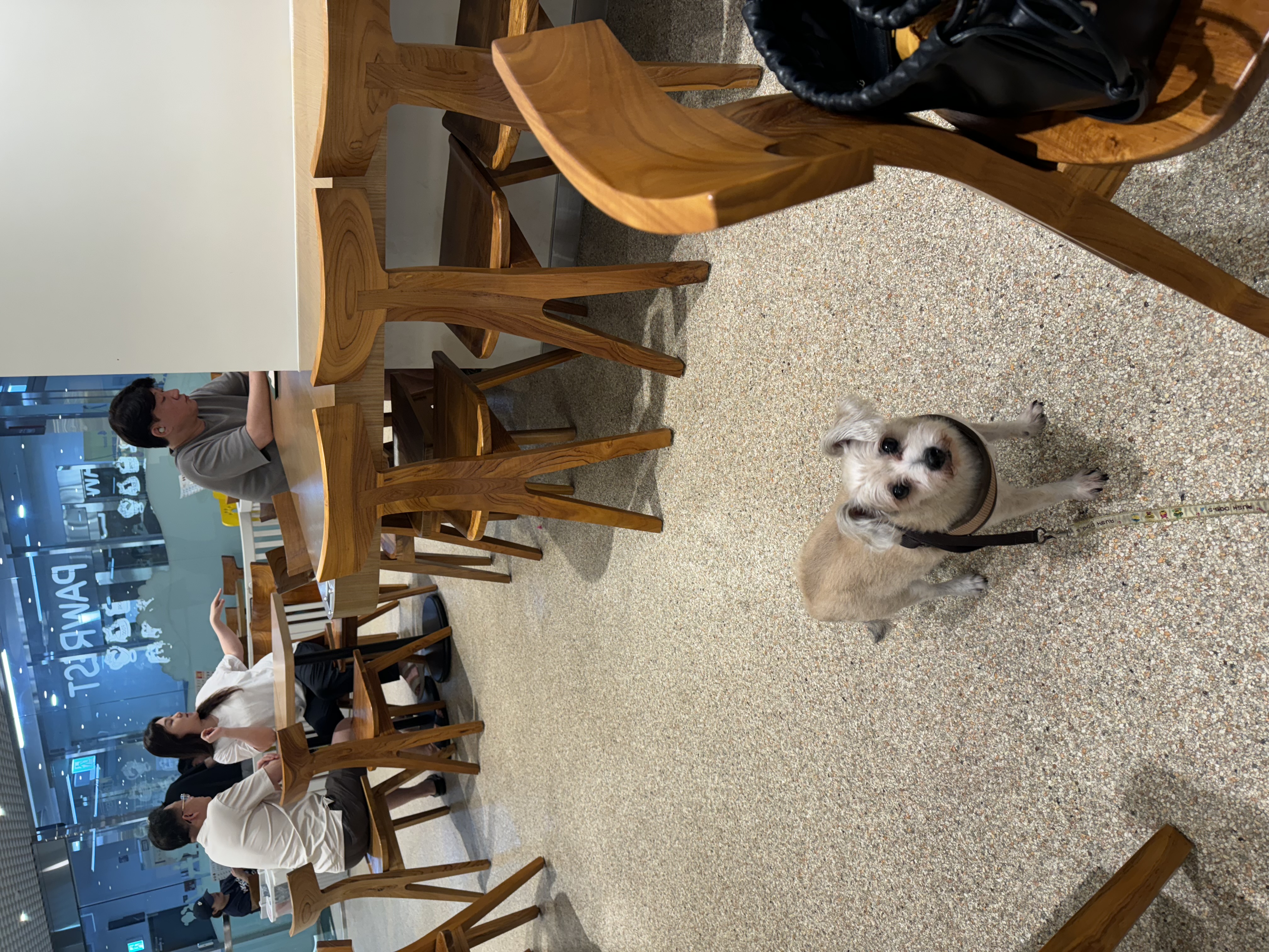 진이(바비) 2025 인사드려요~ 