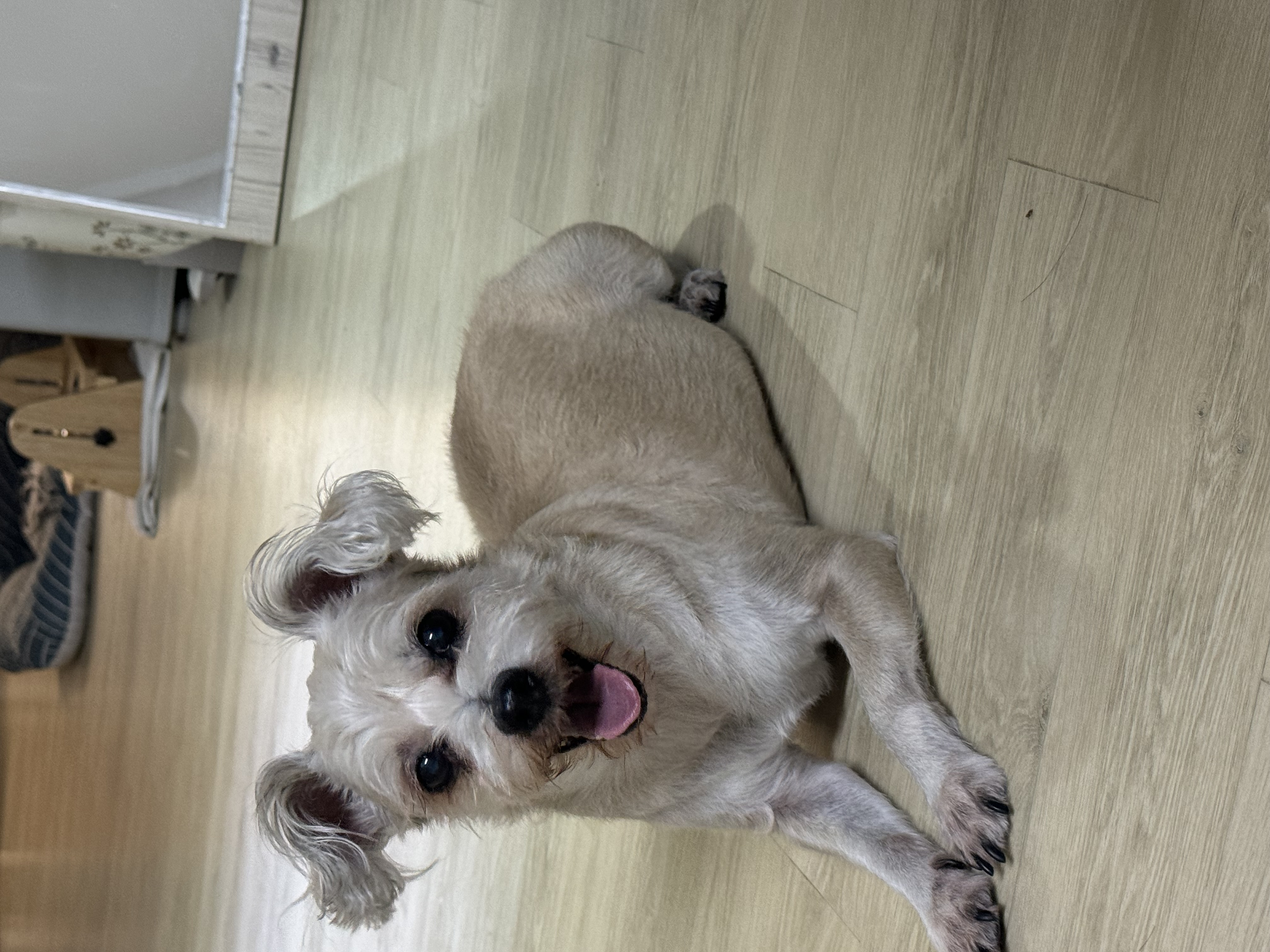 진이(바비) 2025 인사드려요~ 