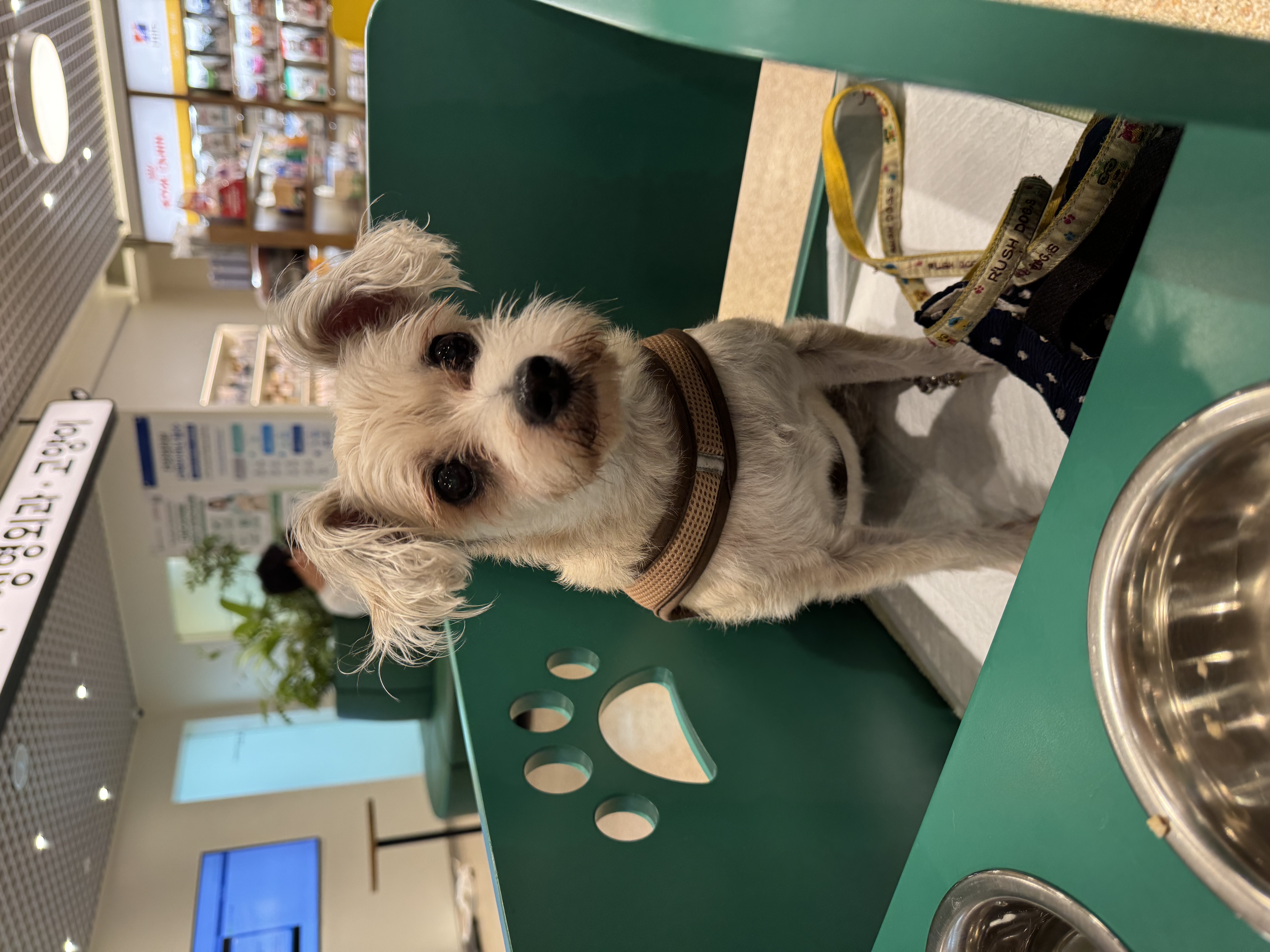 진이(바비) 2025 인사드려요~ 