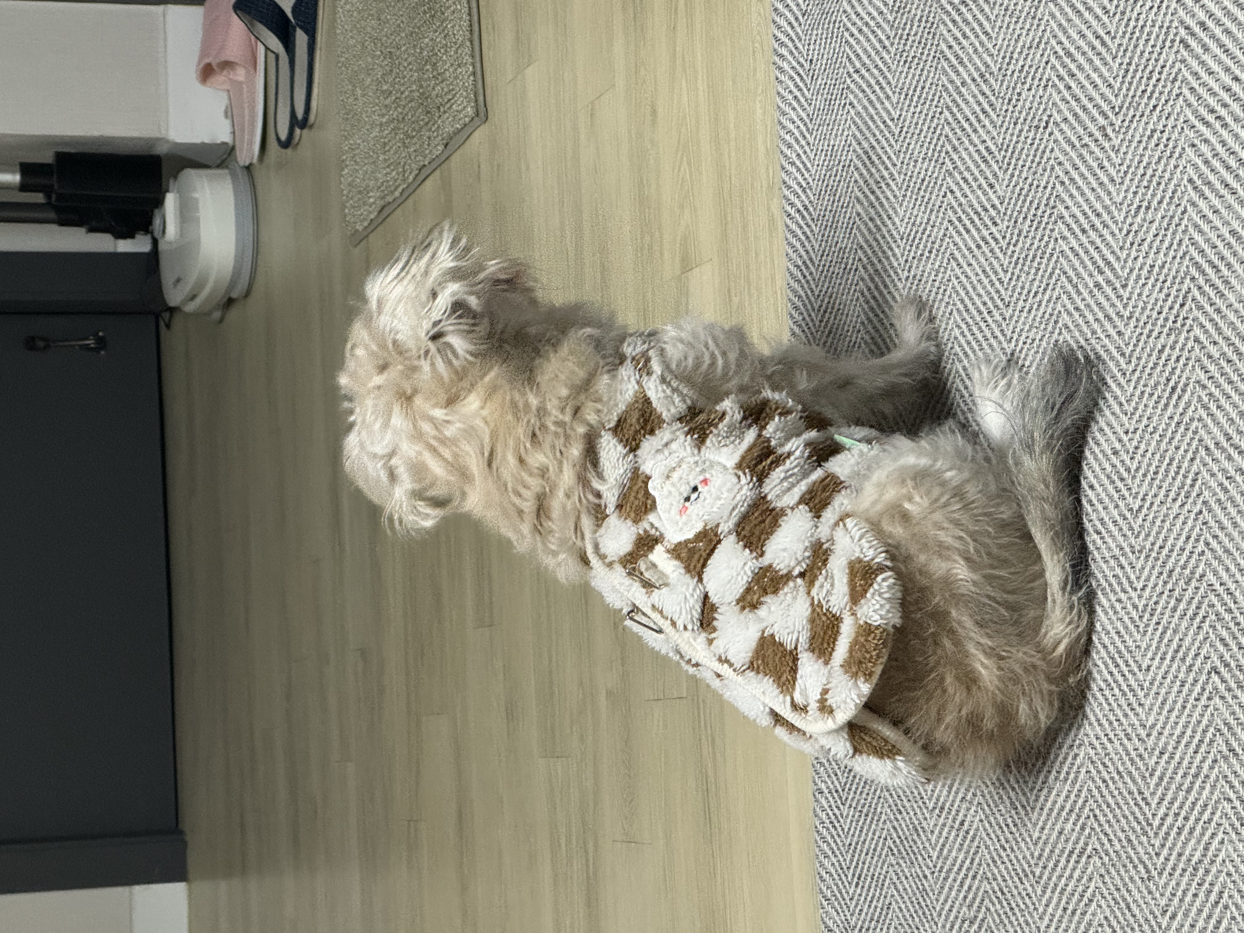 진이(바비) 2025 인사드려요~ 