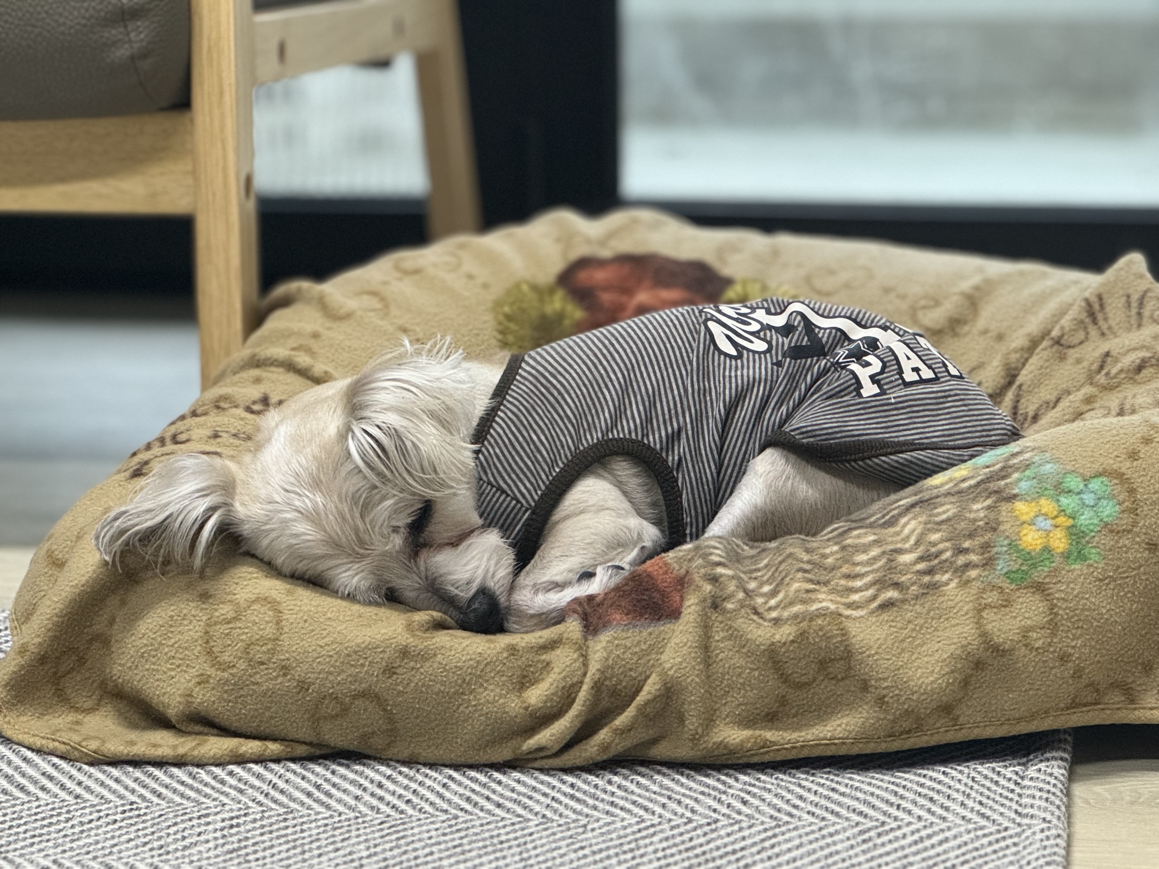 진이(바비) 2025 인사드려요~ 