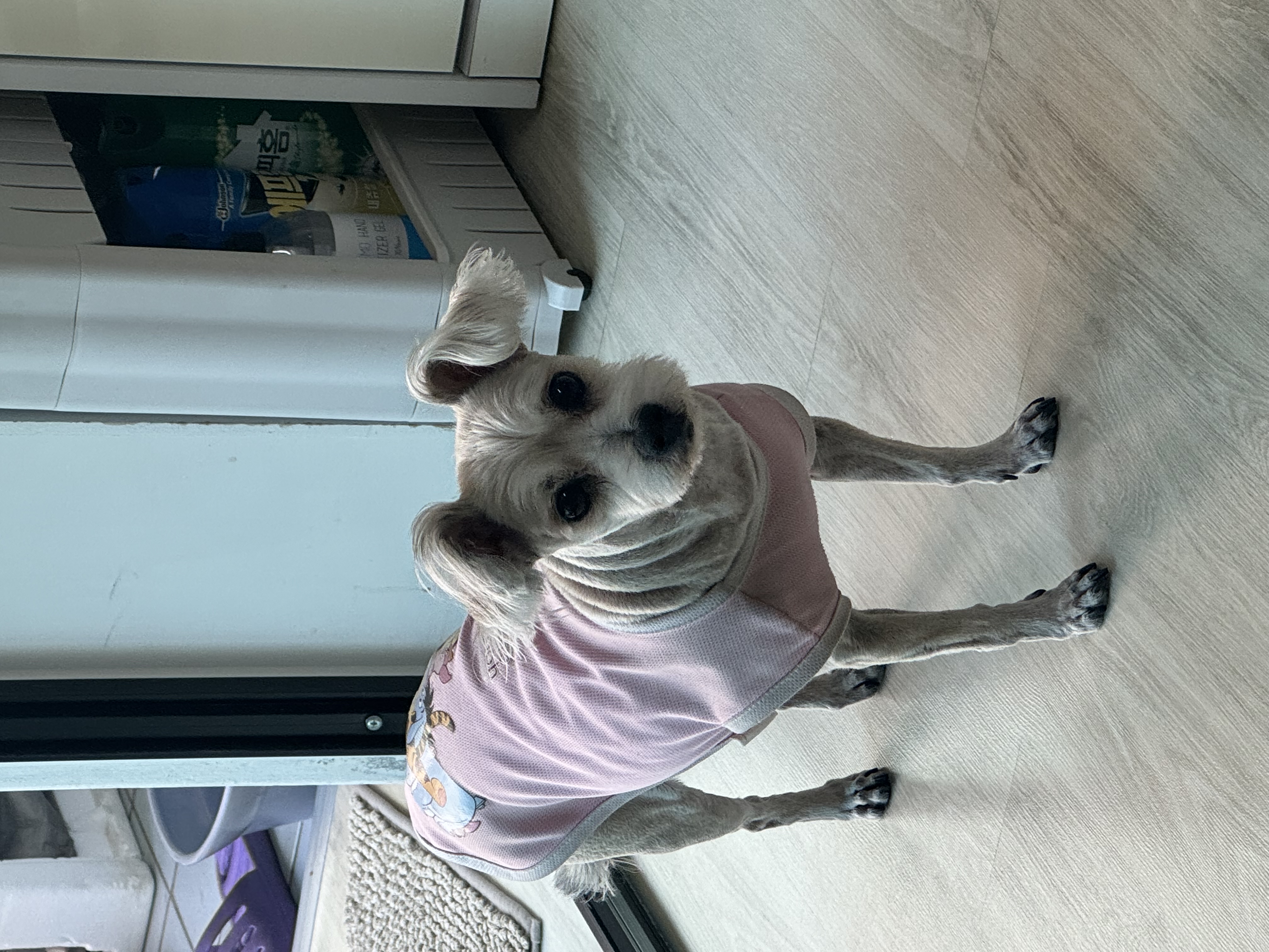 진이(바비) 2025 인사드려요~ 