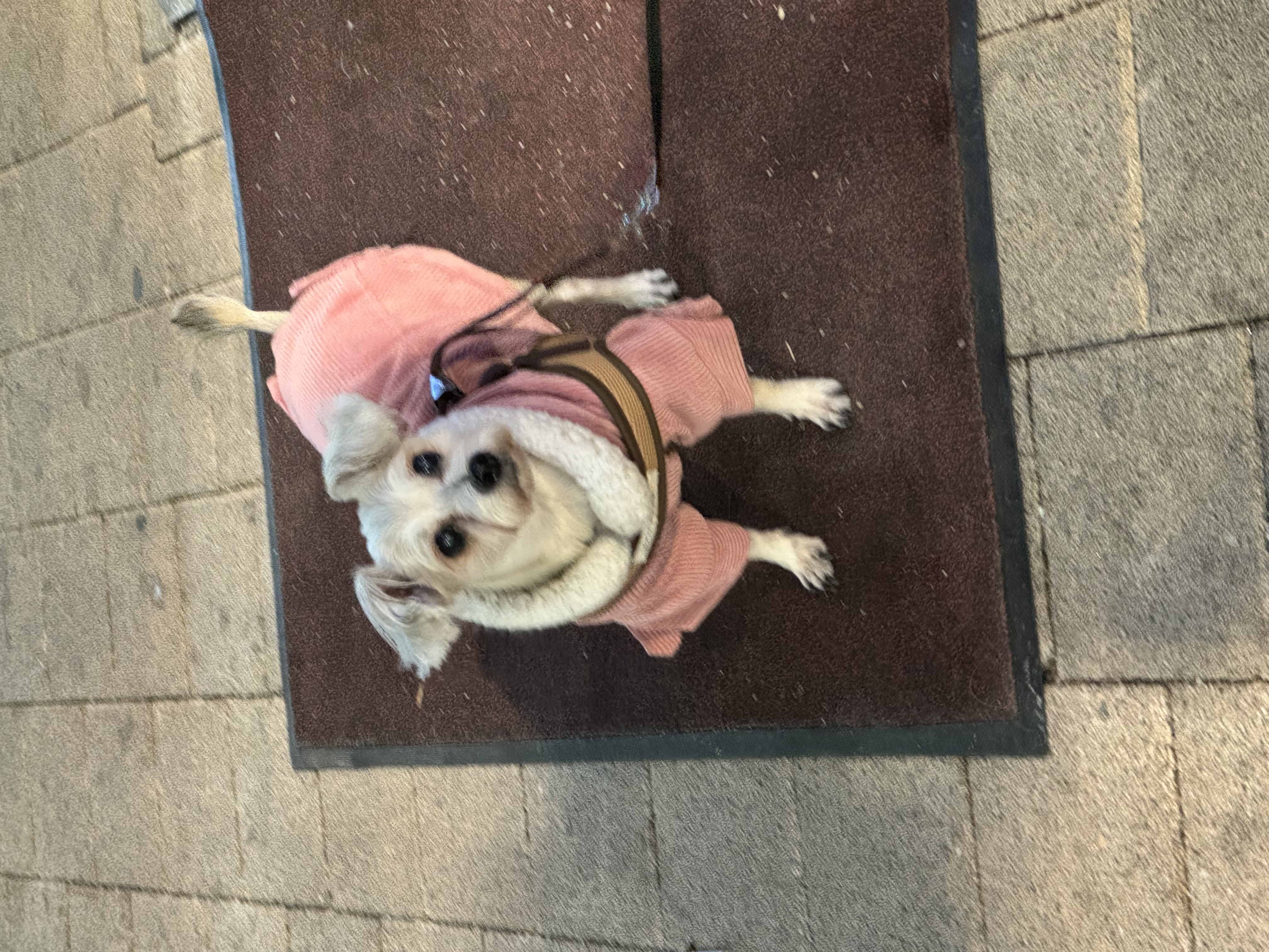 진이(바비) 2025 인사드려요~ 