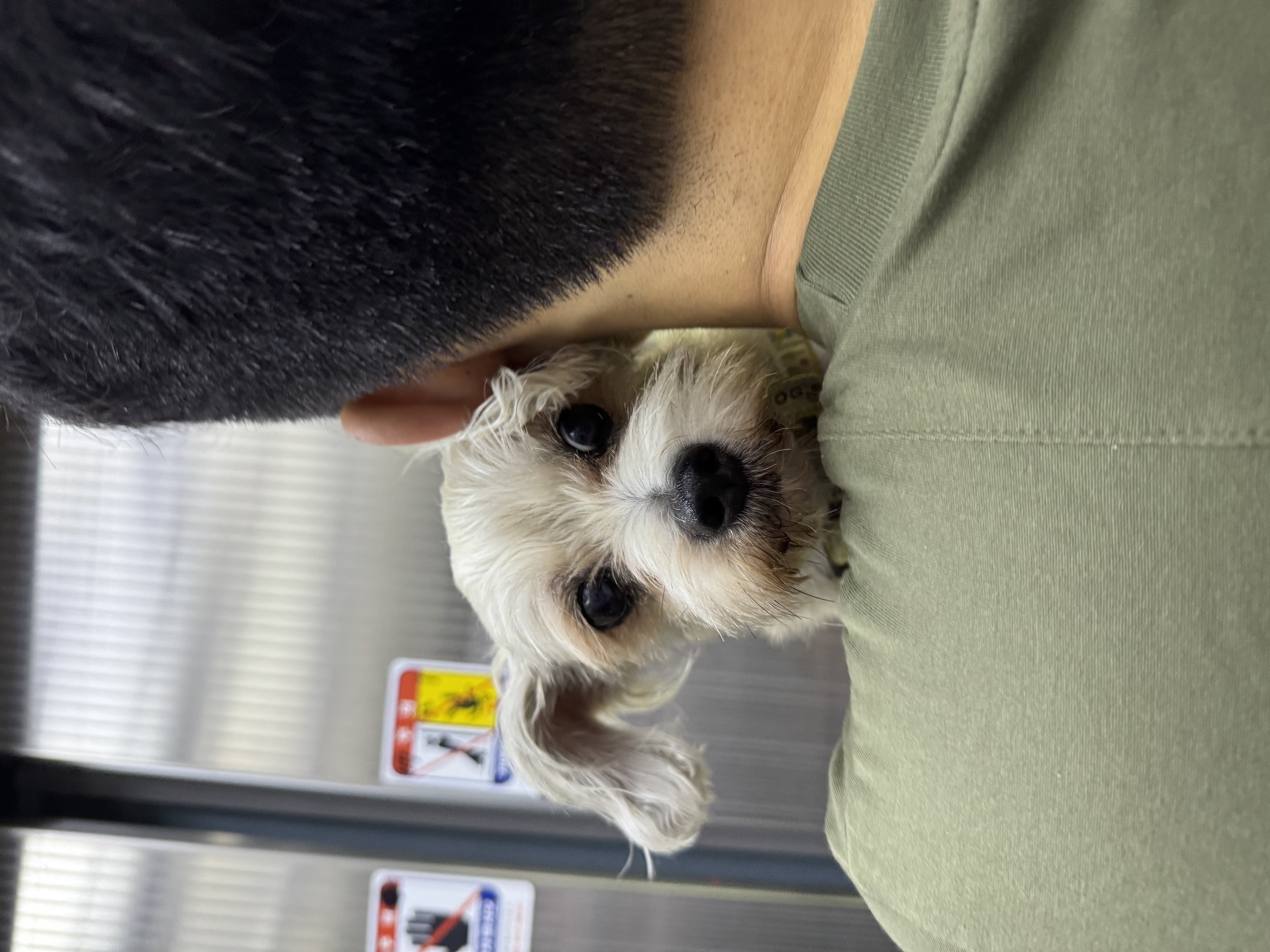 진이(바비) 2025 인사드려요~ 