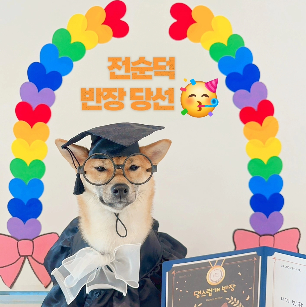 순덕이(쫄희)와 가족이 된지 200일이 되었어요ㅎㅎ