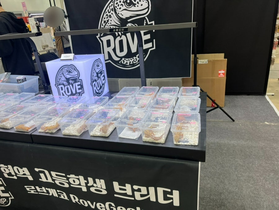 반려동물 박람회에서 동물 전시, 체험행사로 인한 학대