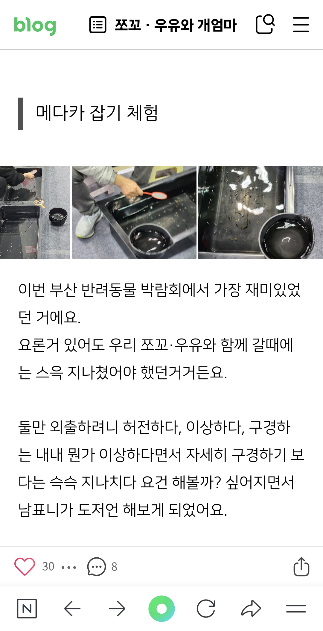 반려동물 박람회에서 동물 전시, 체험행사로 인한 학대