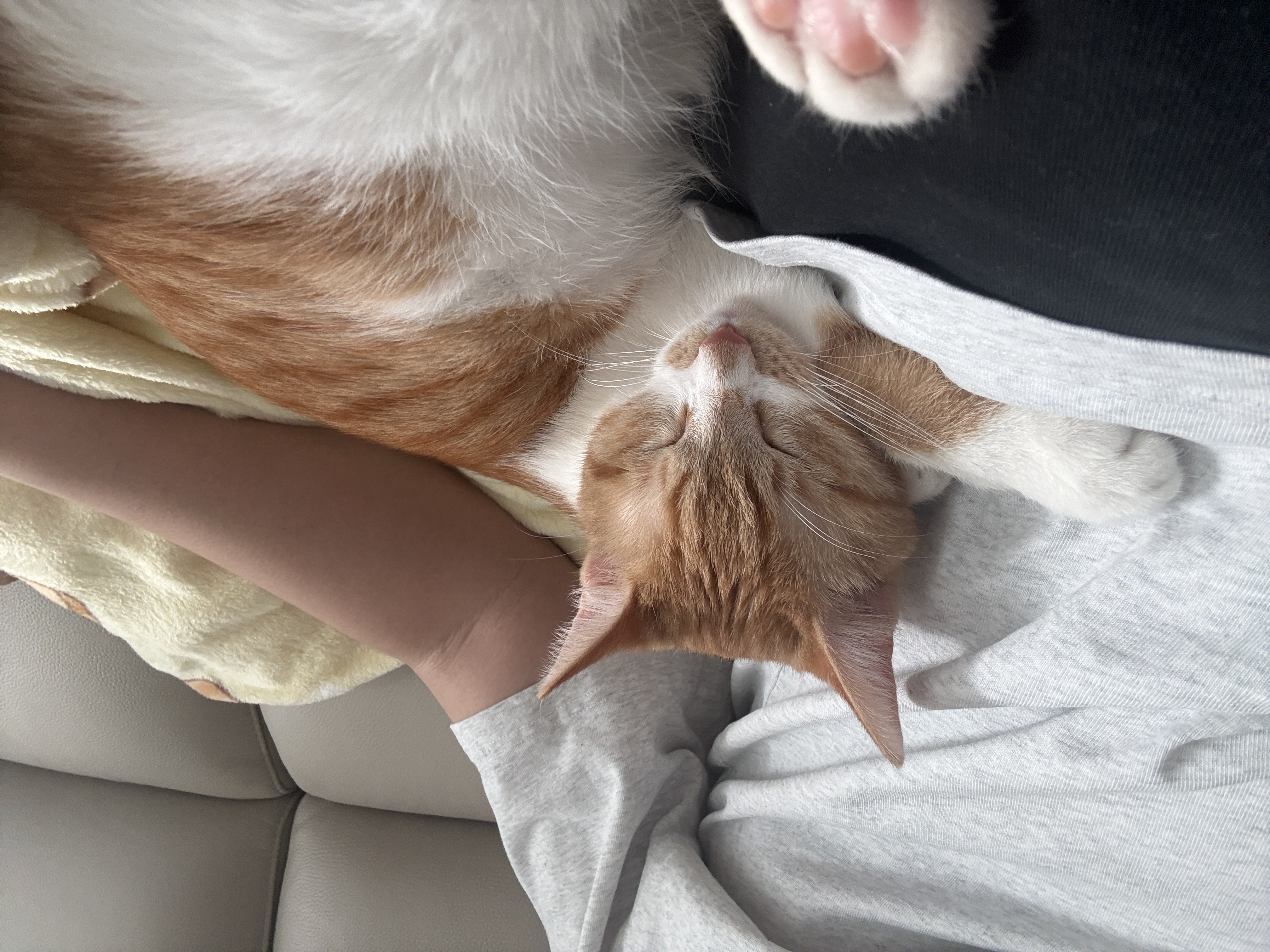 달콩이 잘 지내고 있습니다 😻