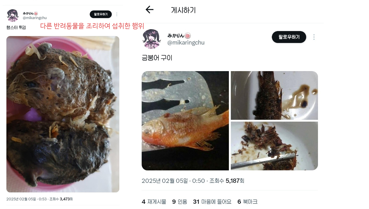 고양이를 죽이고 냉장고에 얼려버린다는 학대자