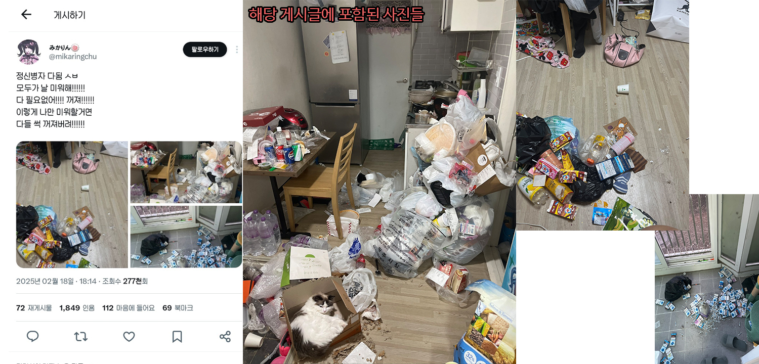 고양이를 죽이고 냉장고에 얼려버린다는 학대자