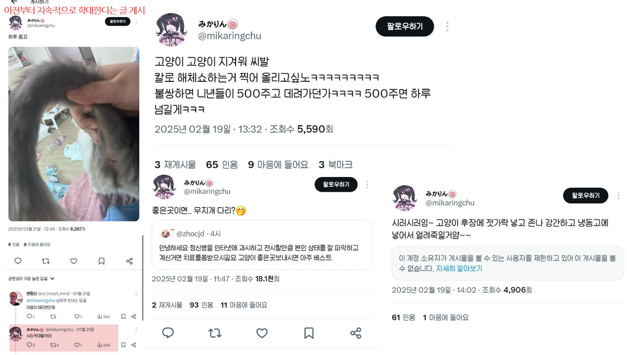 고양이를 죽이고 냉장고에 얼려버린다는 학대자