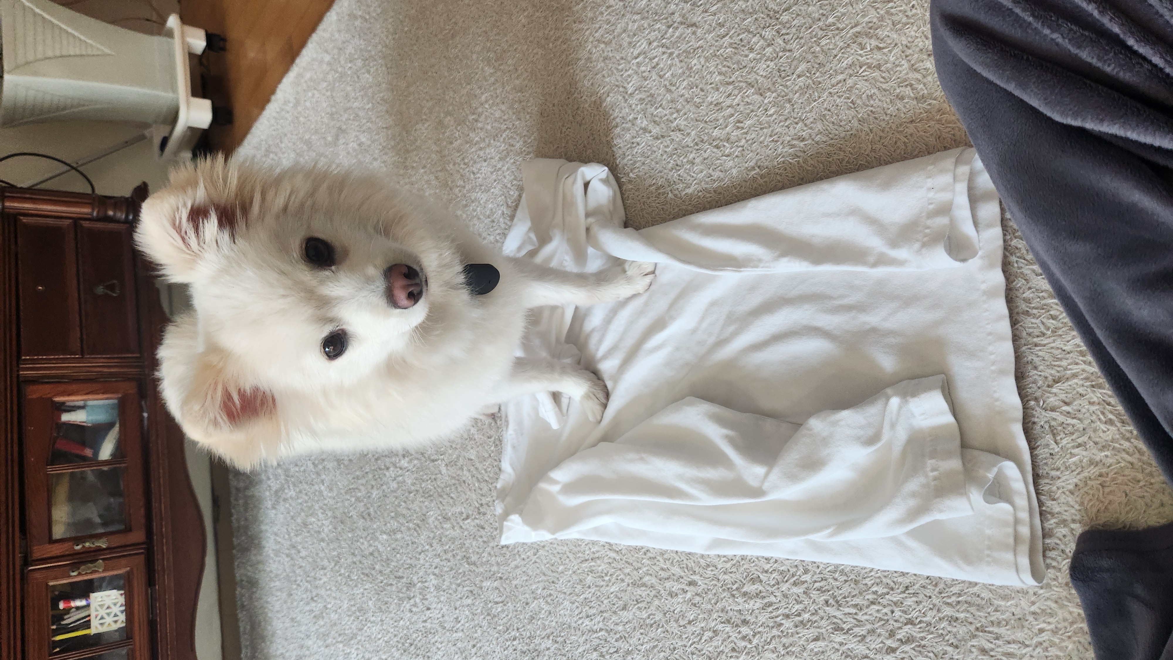 유비 임시보호 1주일차