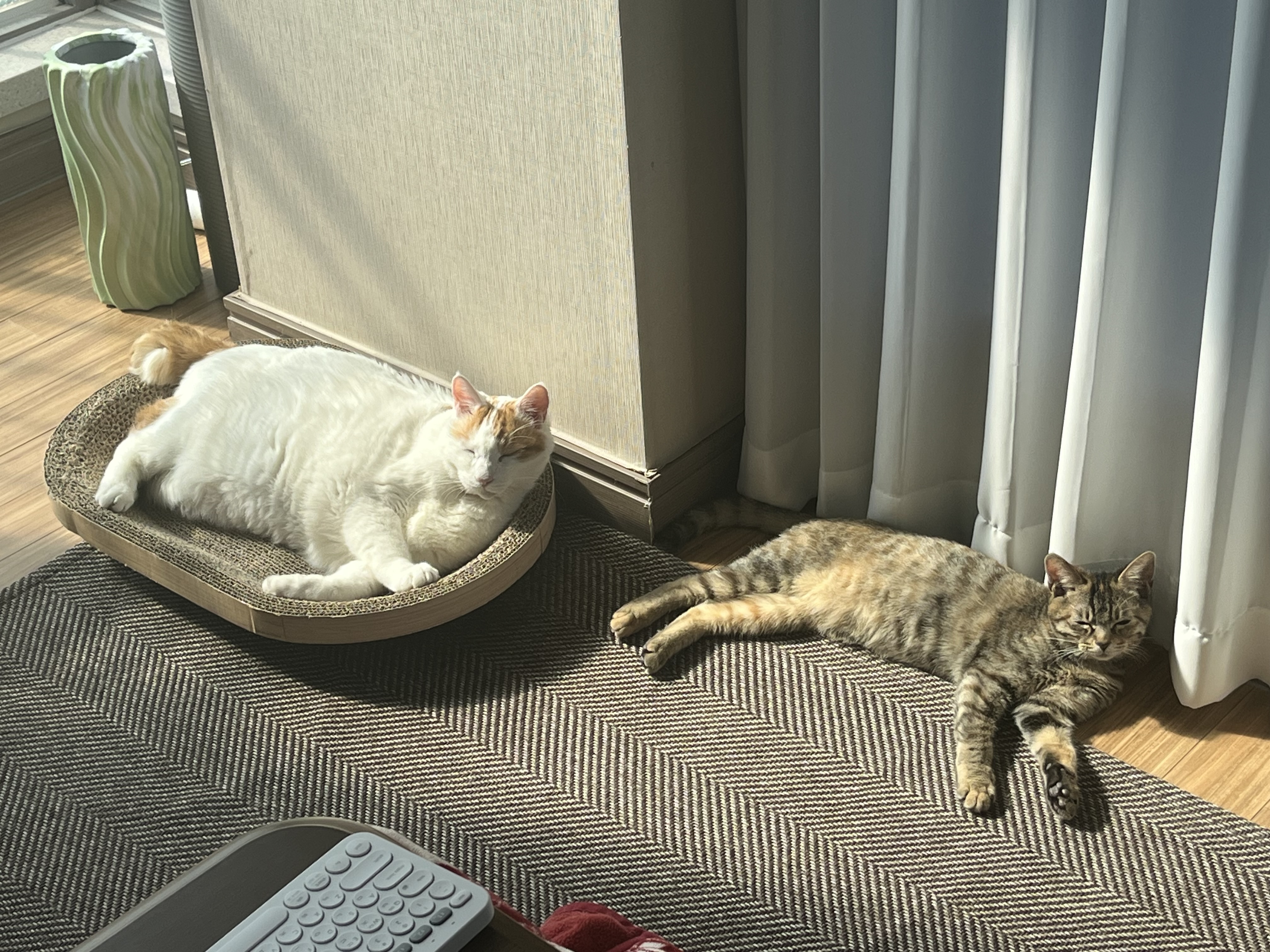 윤조(고란이)와 한 달