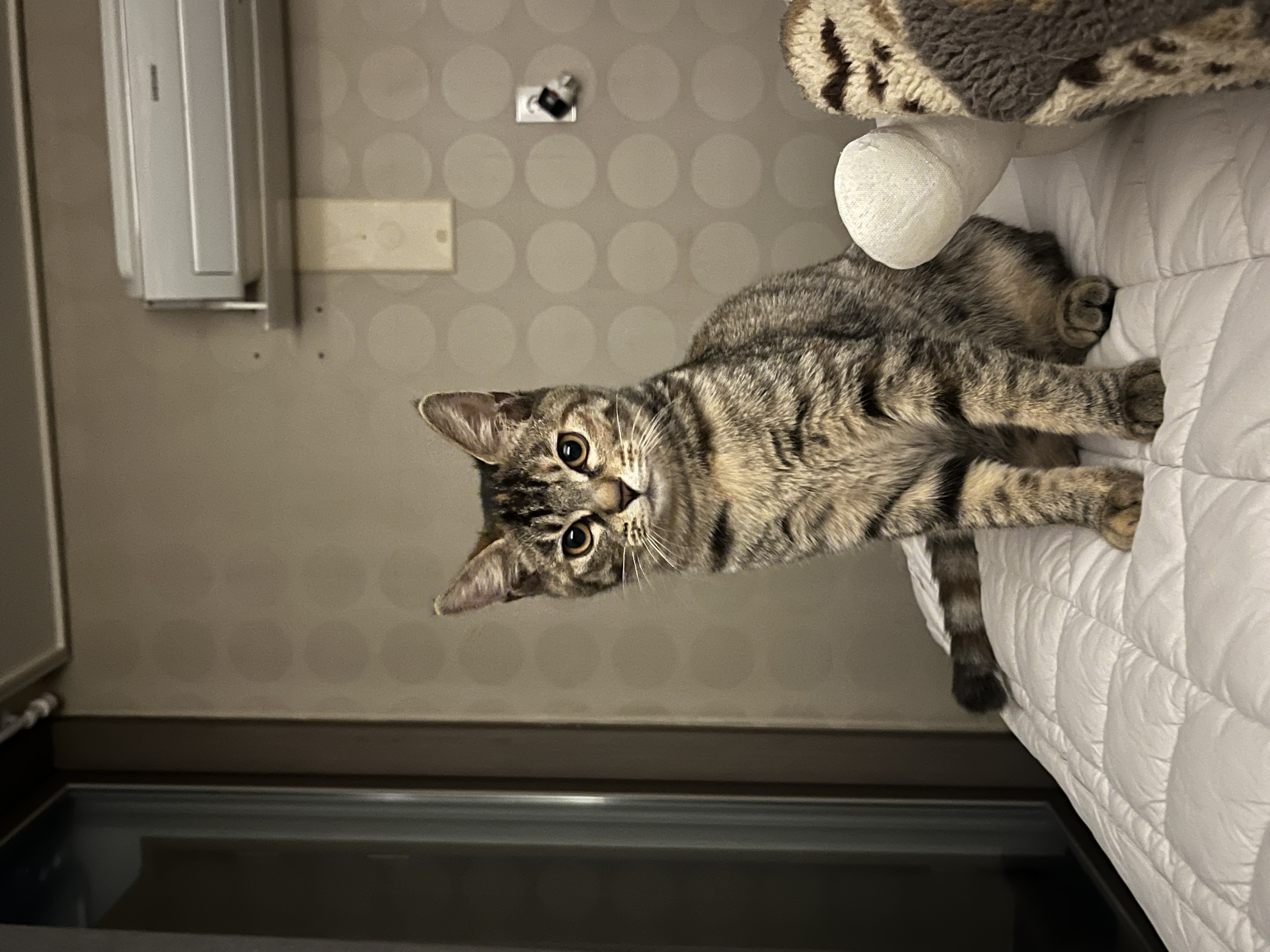 윤조(고란이)와 한 달