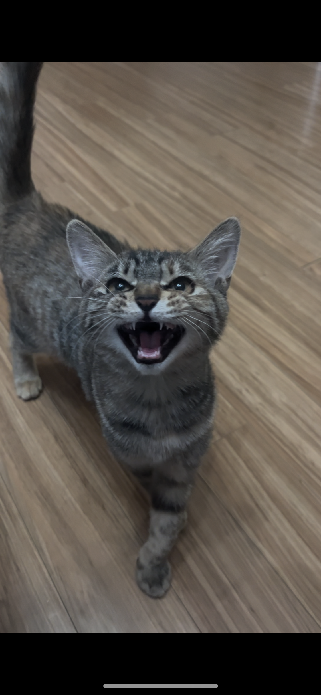 윤조(고란이)와 한 달