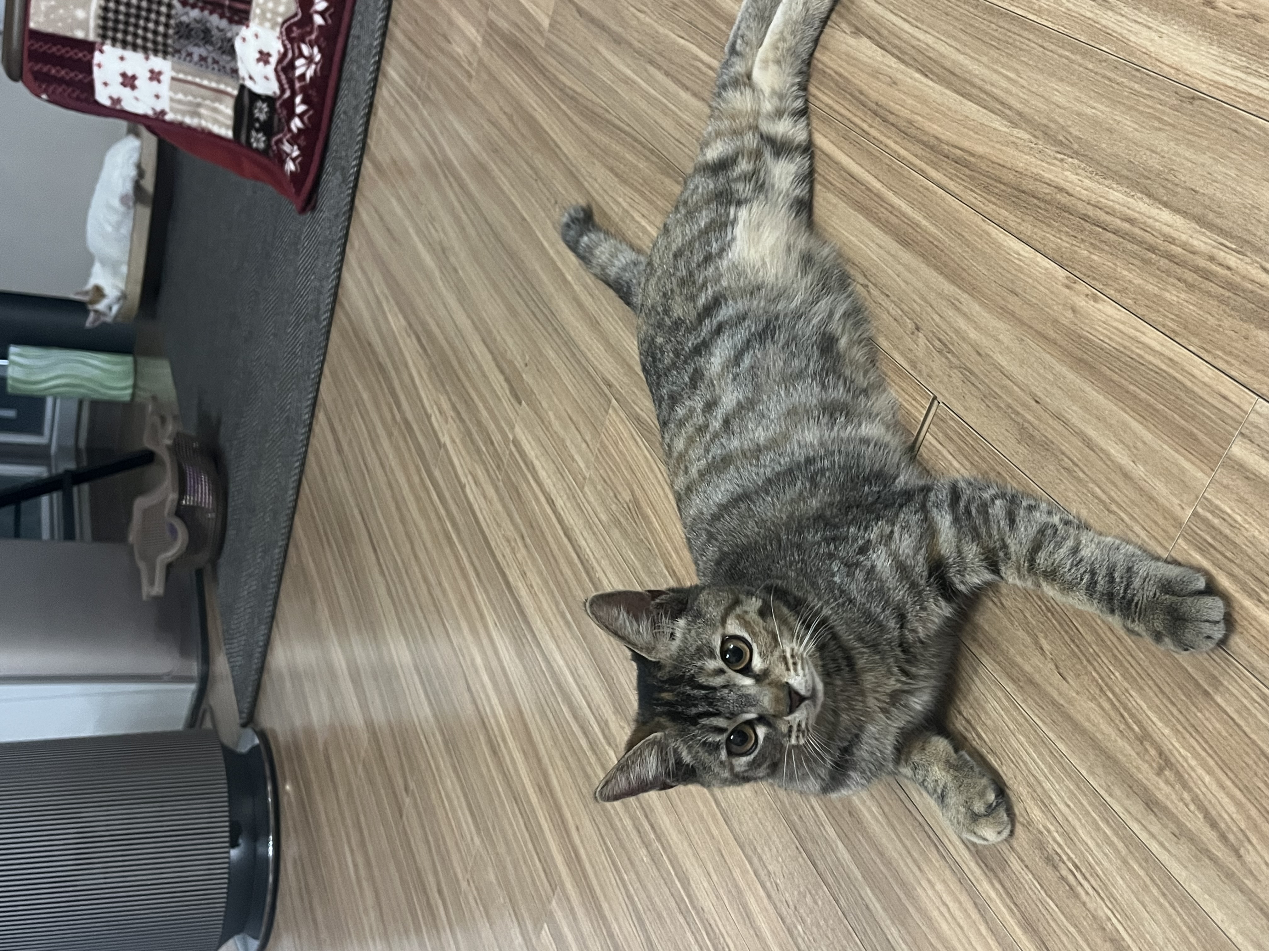 윤조(고란이)와 한 달