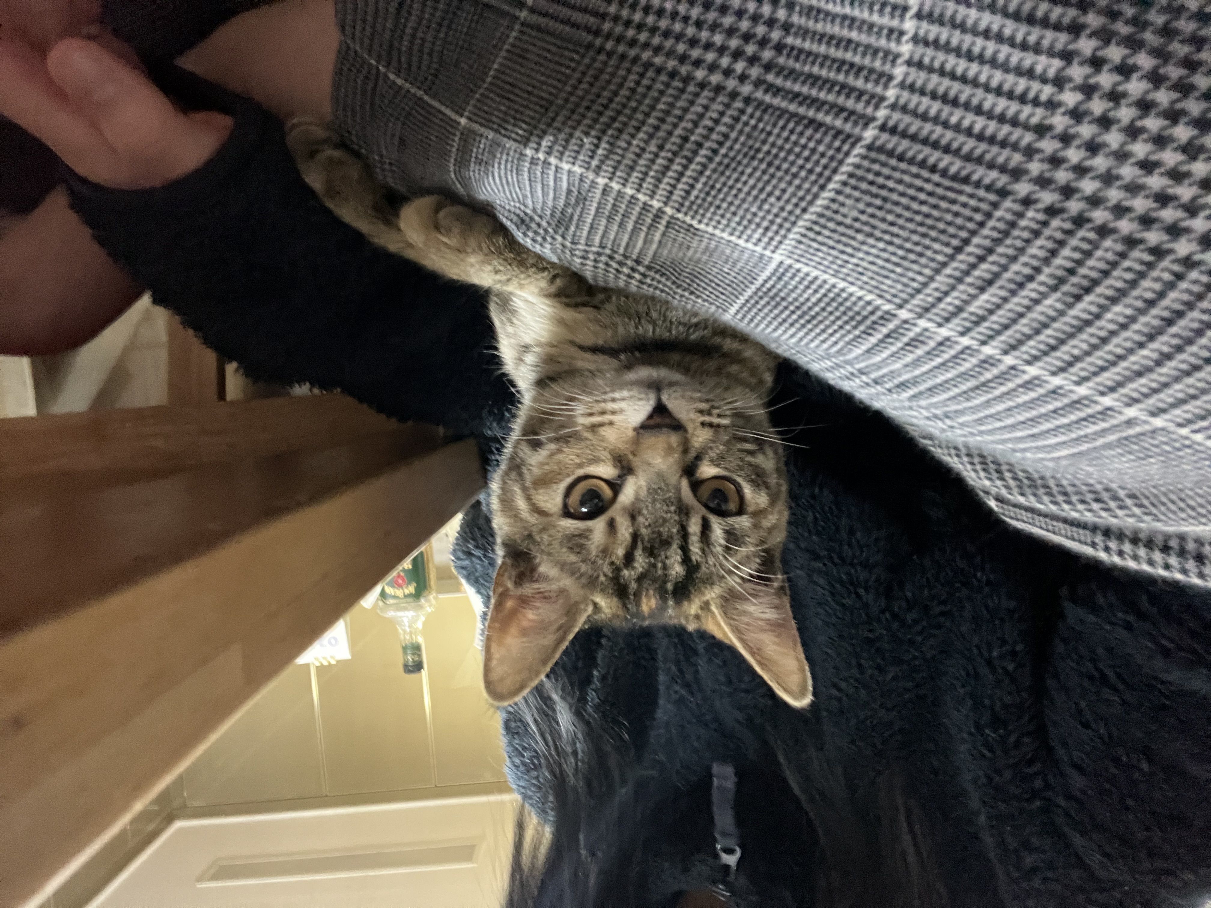 윤조(고란이)와 한 달