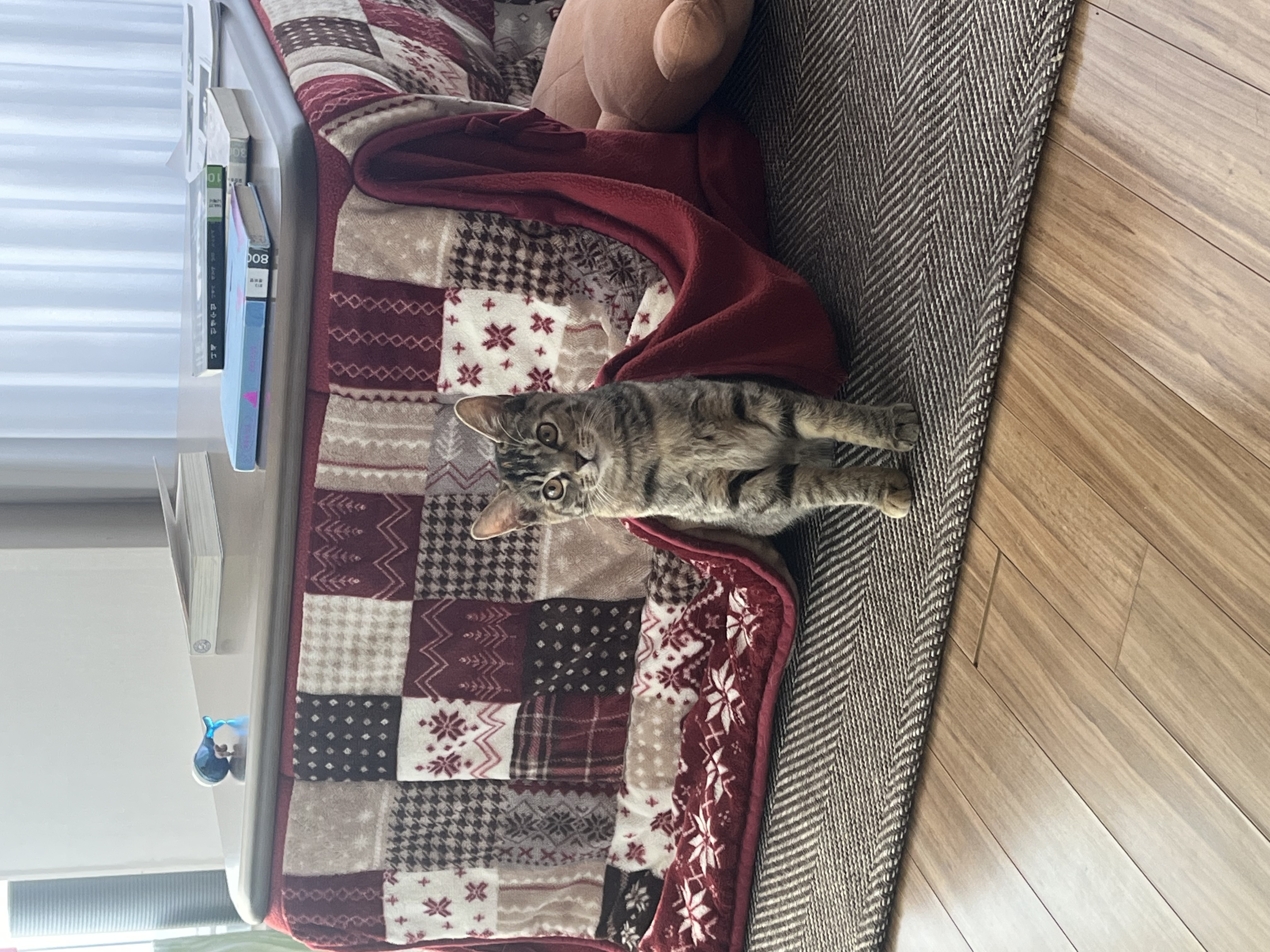 윤조(고란이)와 한 달