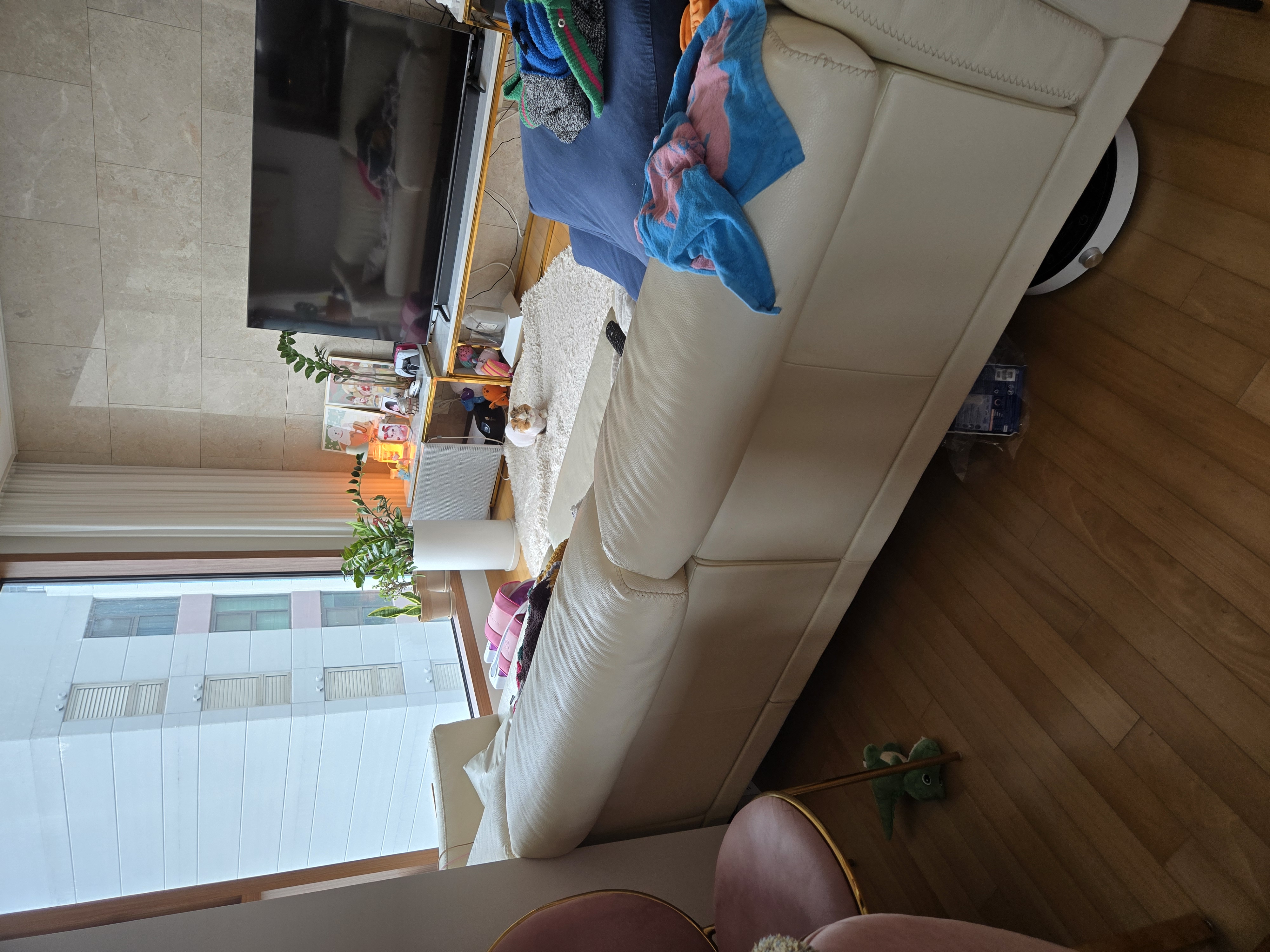 알코(크룩섕스) 미용했어요!!