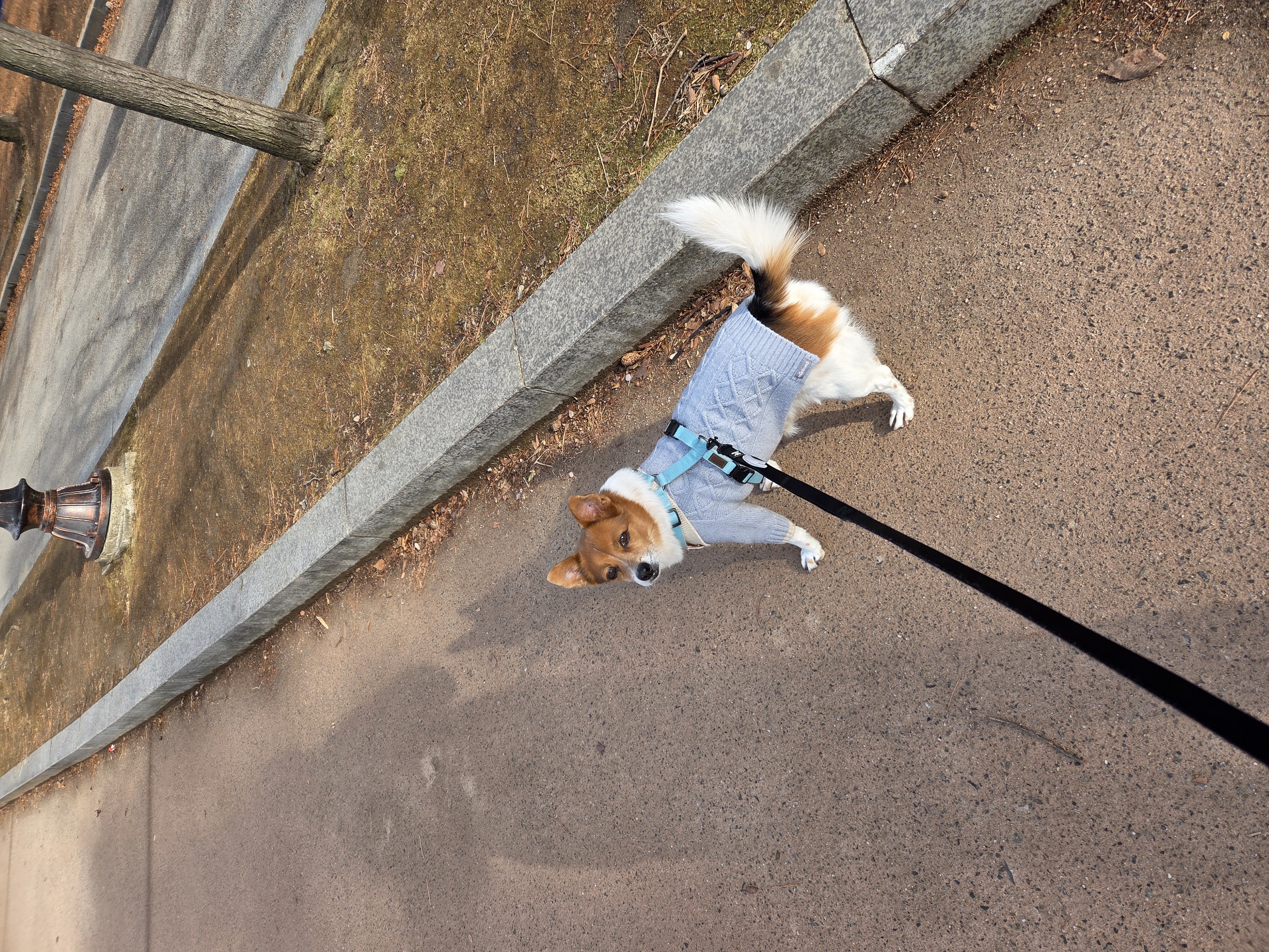 12살이 된 하이^^